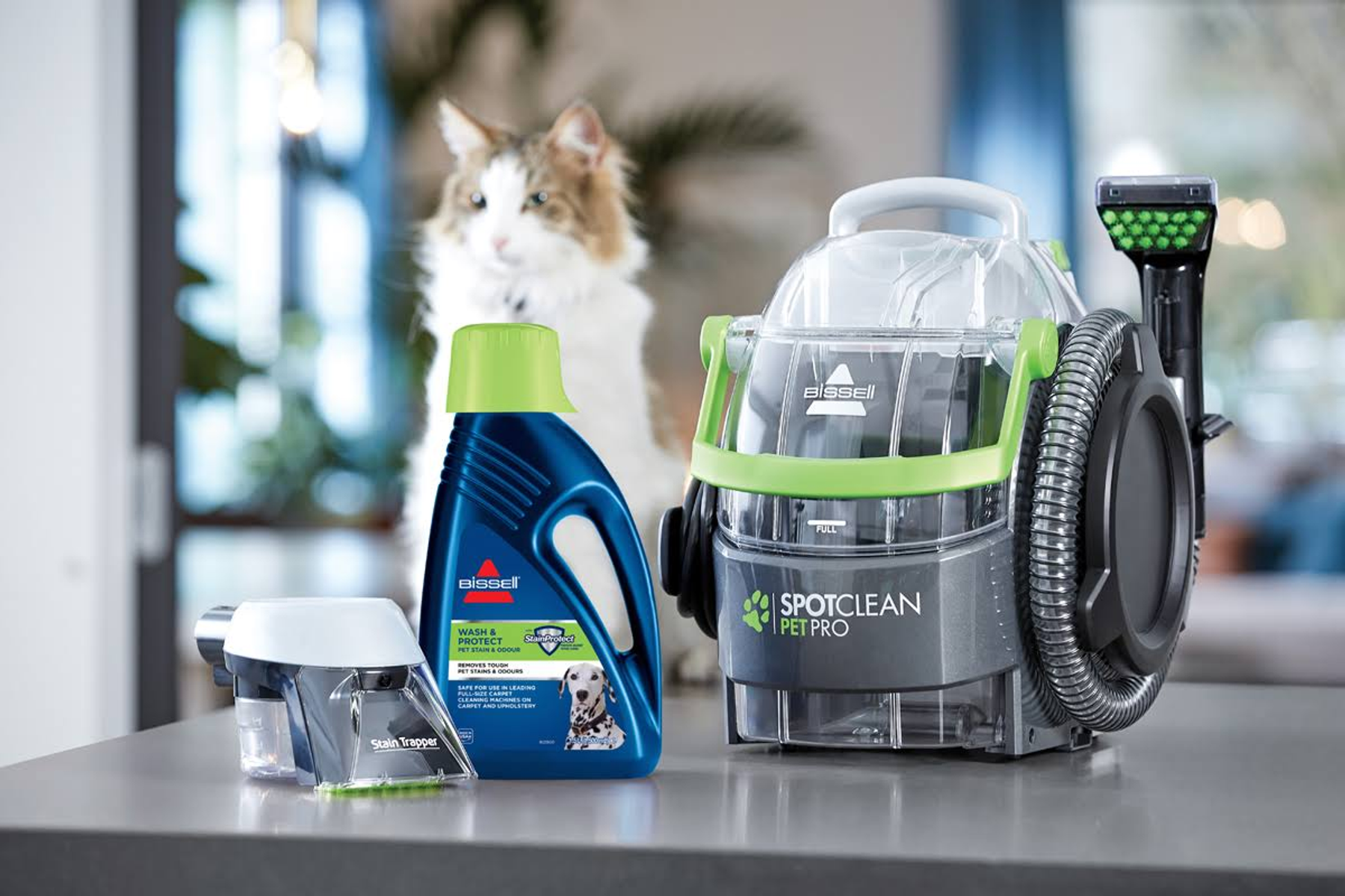 Un gato y suministros de limpieza: Bissell SpotClean Pet Pro y botellas de solución de limpieza.