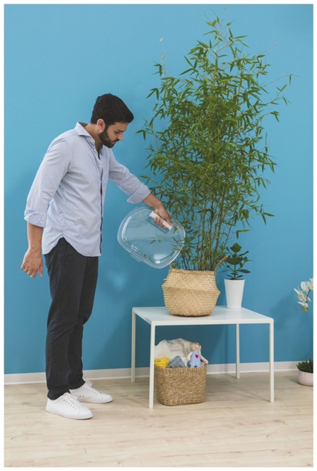 Uomo che annaffia bambù in un cesto di vimini su un tavolo bianco. Sfondo blu.
