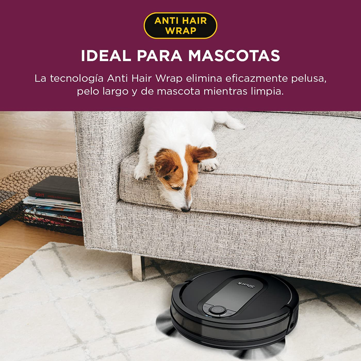 Ein kleiner Hund auf einer grauen Couch und ein schwarzer Roboter-Staubsauger auf einem Teppich.