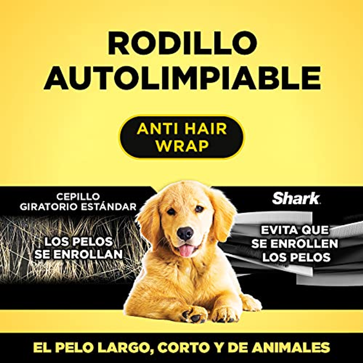 Golden Retriever Welpe mit Text. Anti-Haar-Wickel und Haartypen werden angezeigt.