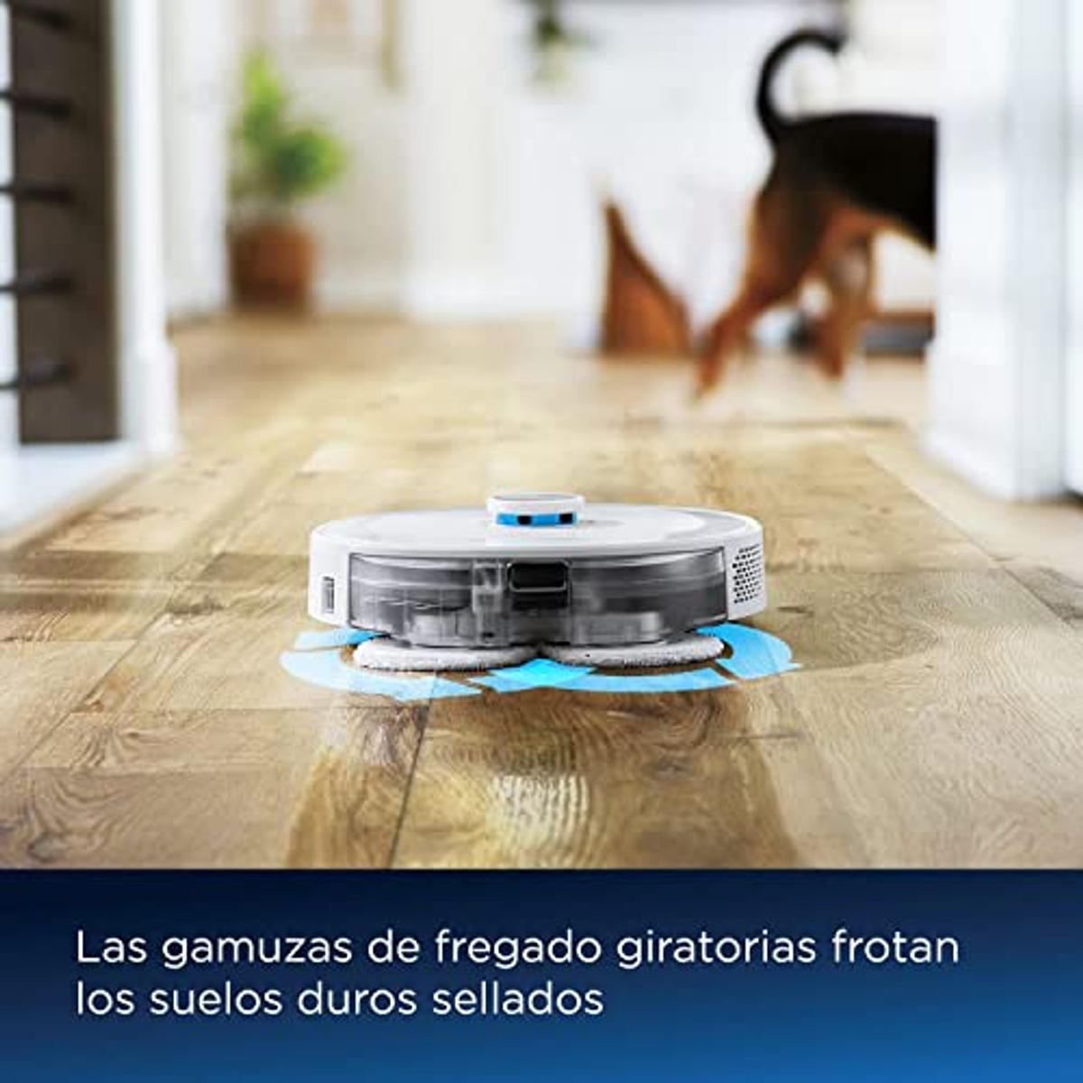 Roboter-Staubsauger reinigt Holzboden. Blaue Wasserflecken sind sichtbar, während er den Boden schrubbt.