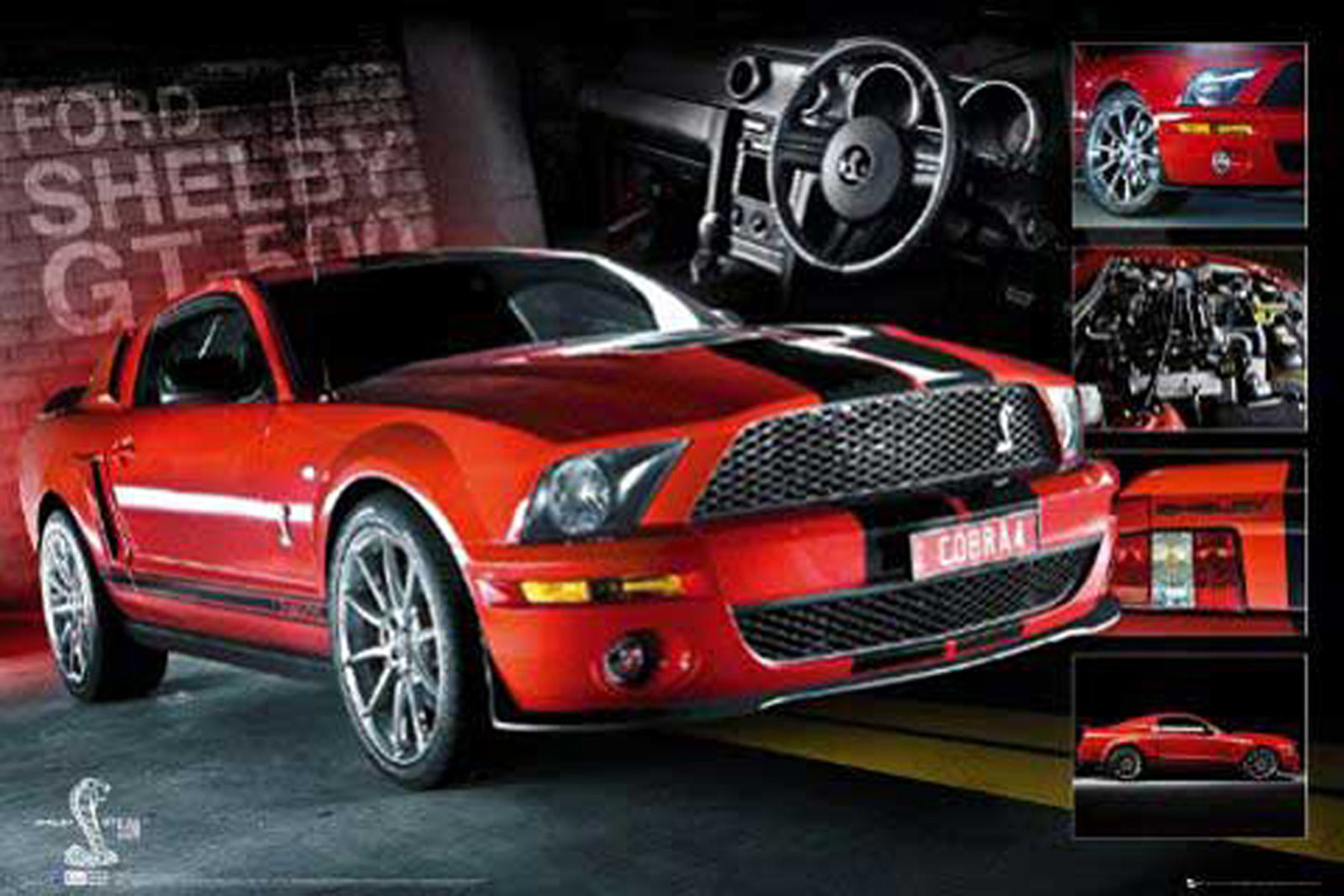 - Mustang - Easton Red