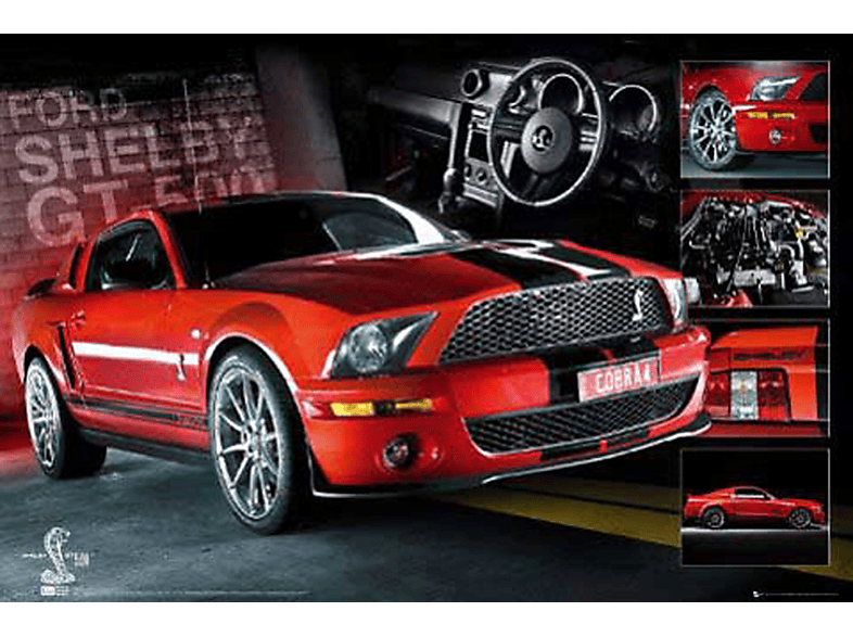 - - Red Mustang Easton