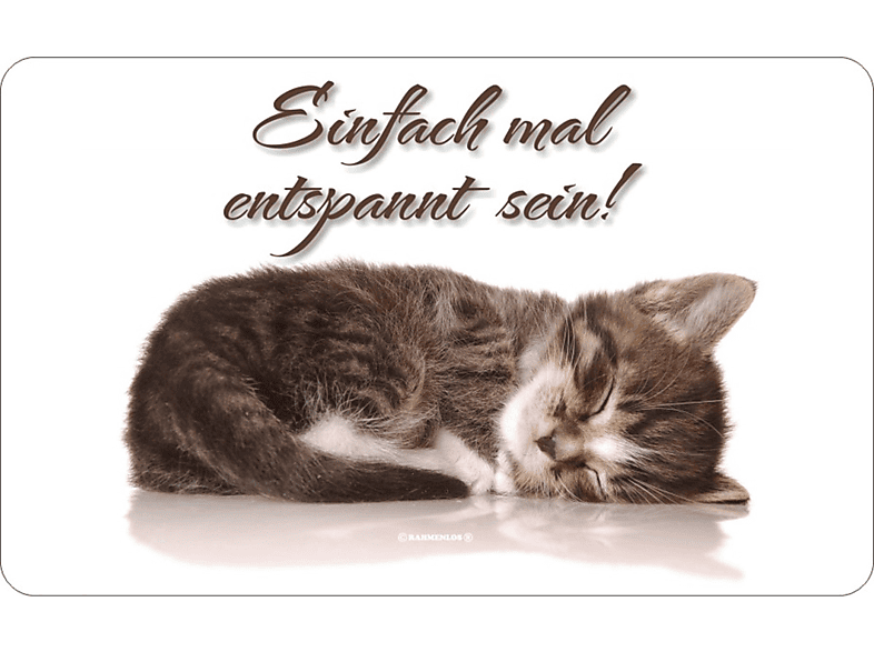 Resopal mal einfach Brettchen - entspannt Katzen