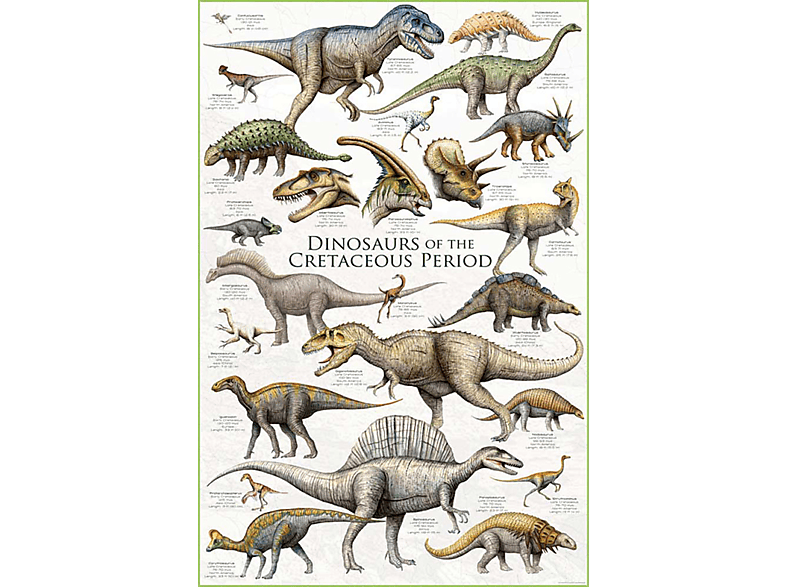 Educational - Bildung - Dinosaurs - Cretaceous Period Dinosaurier
