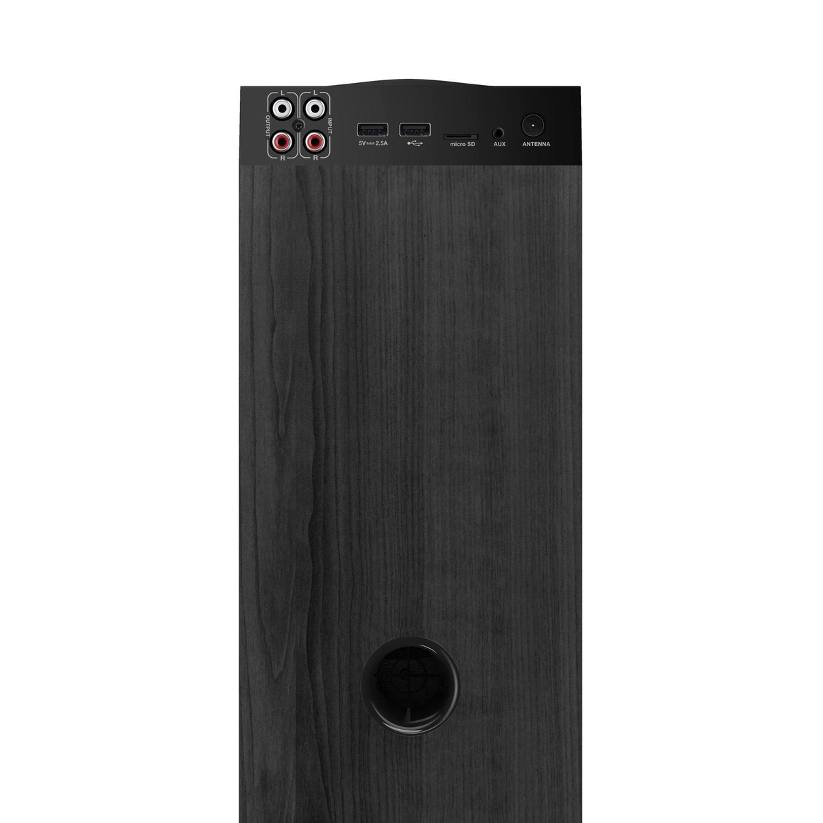 Panel trasero de un altavoz negro con puertos y conexiones contra un fondo de madera.