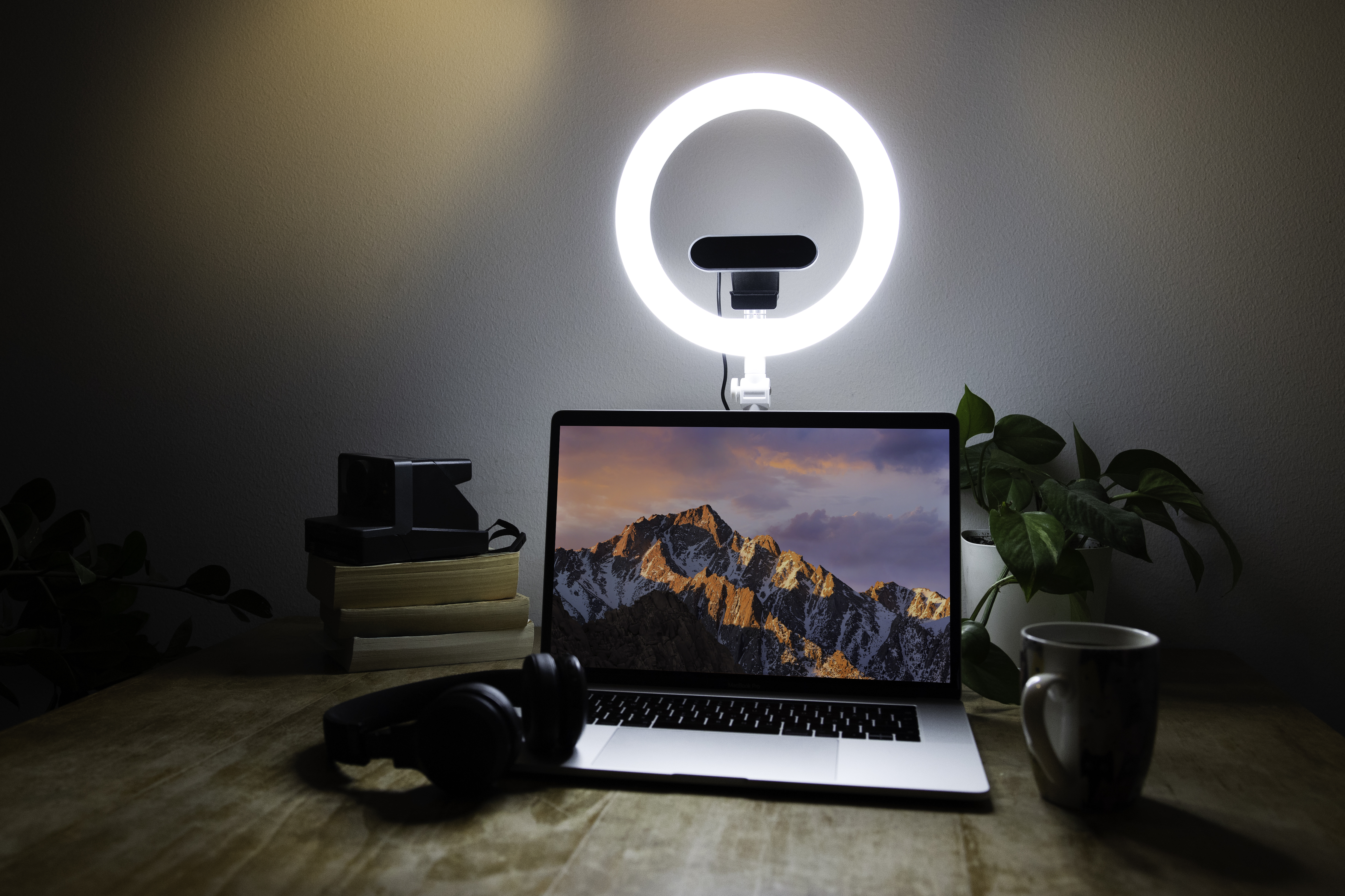 Laptop mit Ringlicht, Büchern, Kopfhörern, Kaffeetasse und Pflanze.