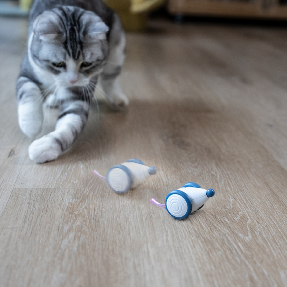 INF Maus Interaktives für Spielzeug Blau/Weiß USB-Aufladung Haustier-Spielzeug Katze