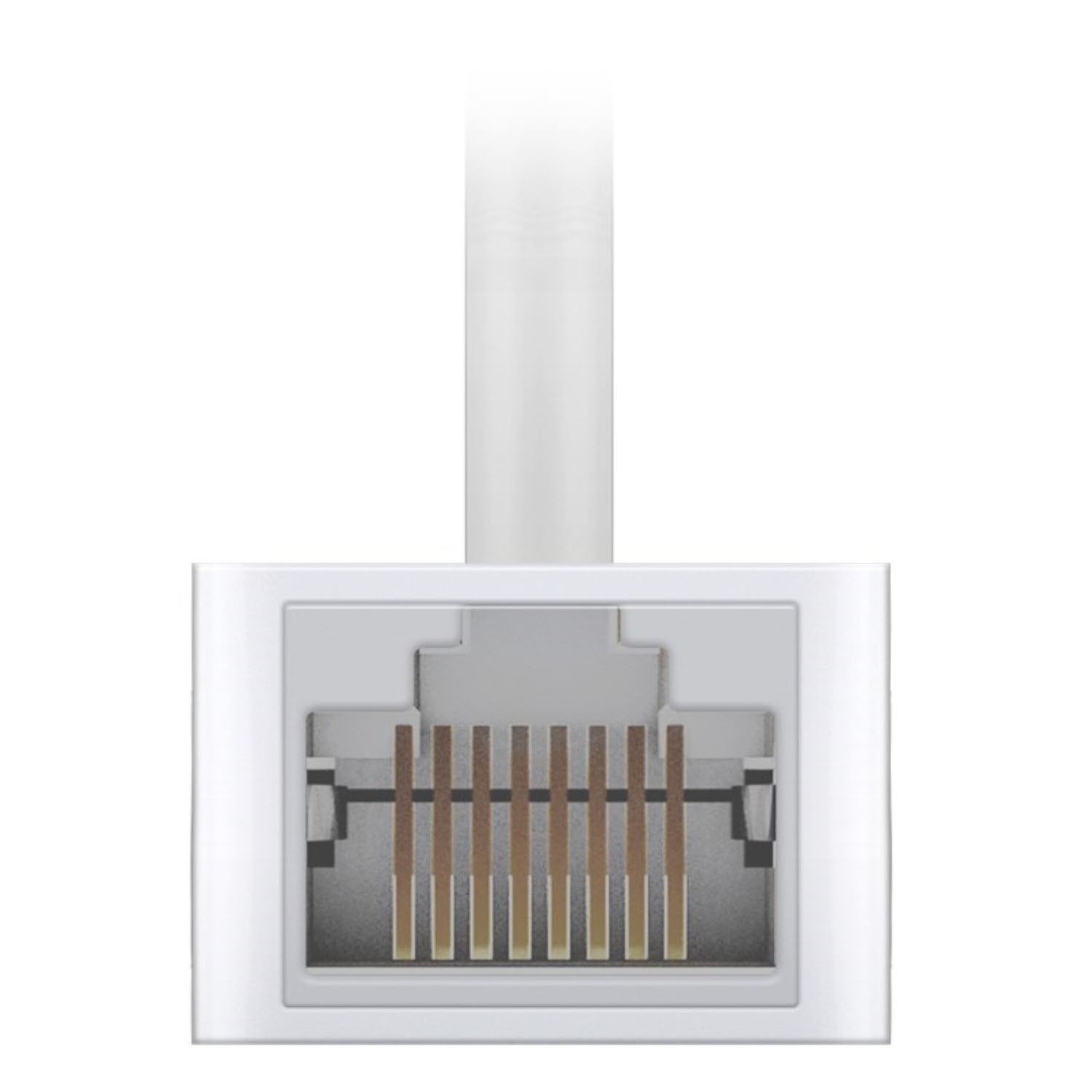 Weißes Ethernet-Kabel mit Nahaufnahme des Steckers.