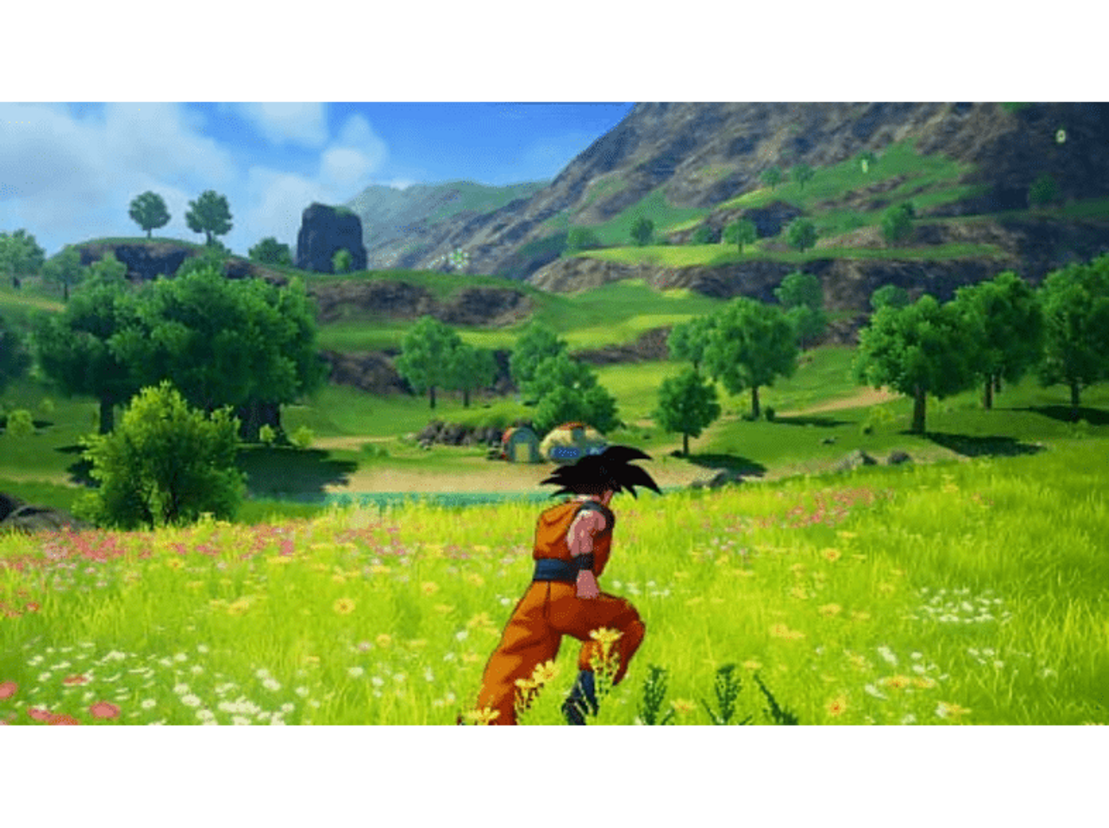 Scena w stylu anime: Goku biegnie po polu kwiatów z górami w tle.