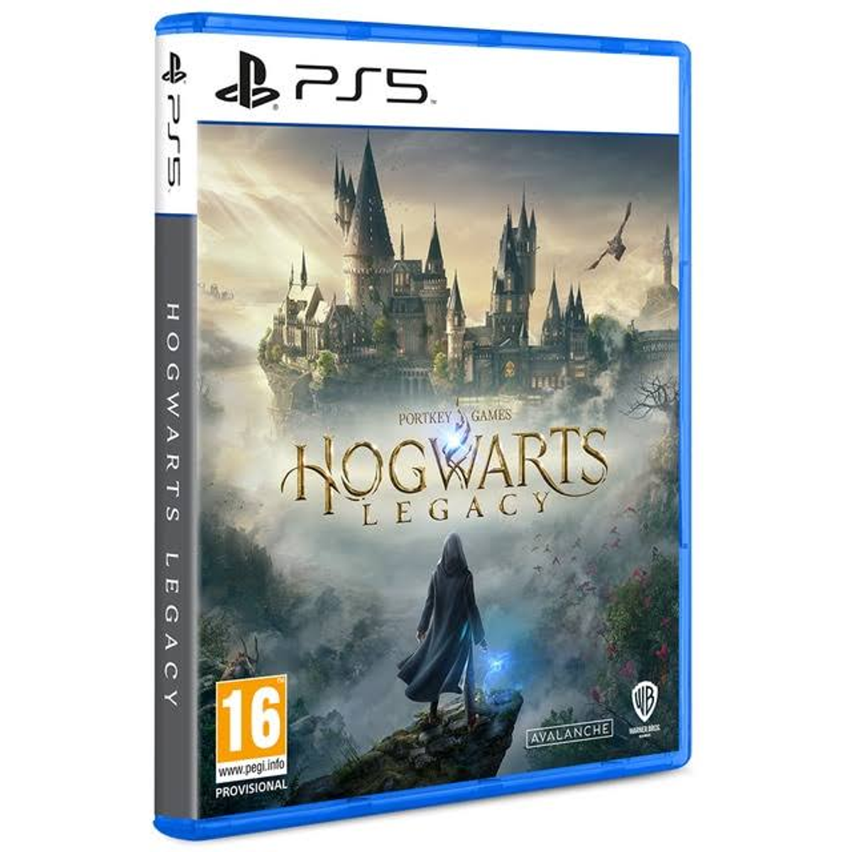 Copertina del gioco Hogwarts Legacy. Una figura in piedi su una collina, castello di Hogwarts sullo sfondo.