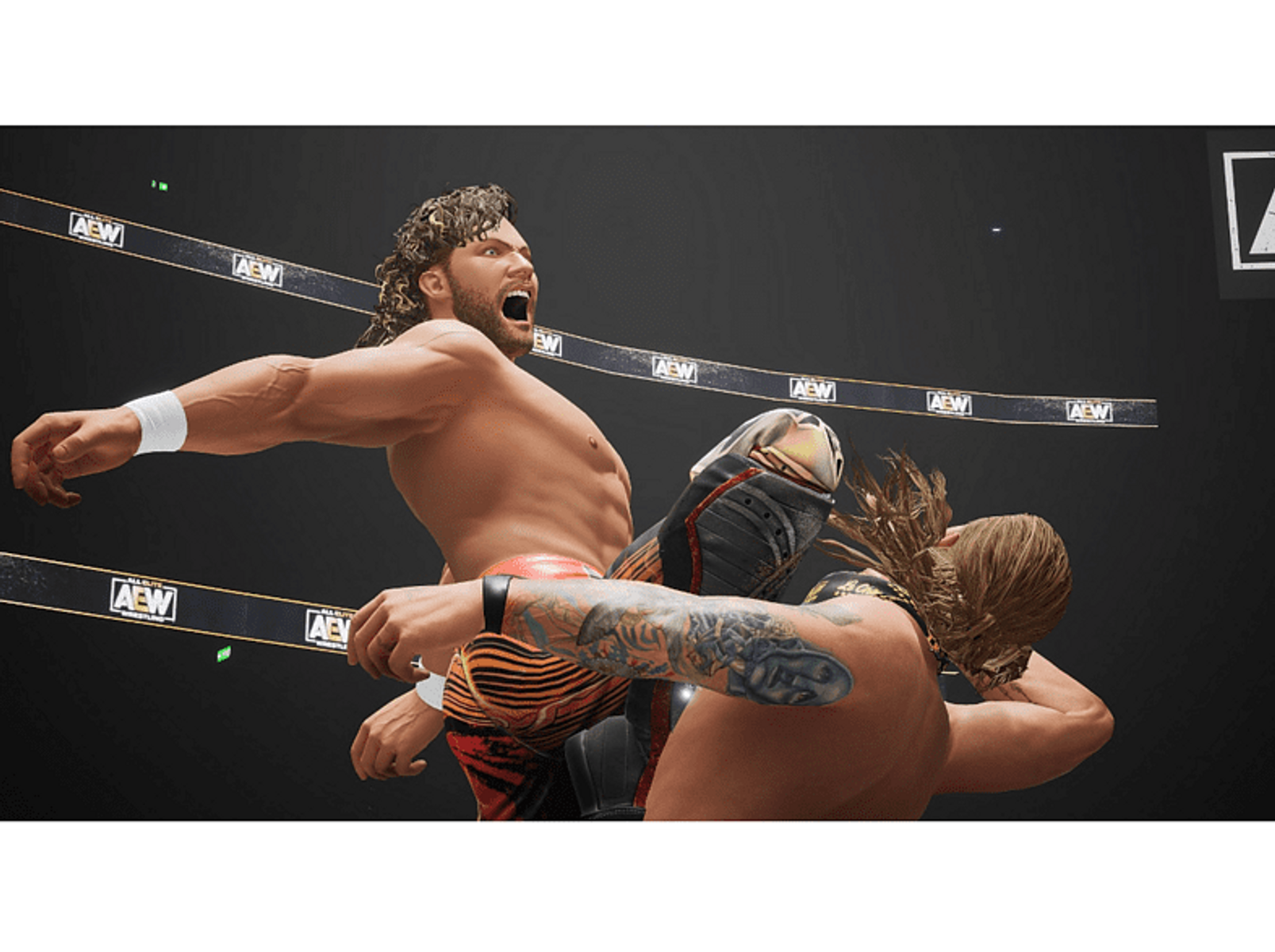 Dwóch zapaśników w akcji. Jeden kopie drugiego, na ringu zapaśniczym, w tle publiczność.