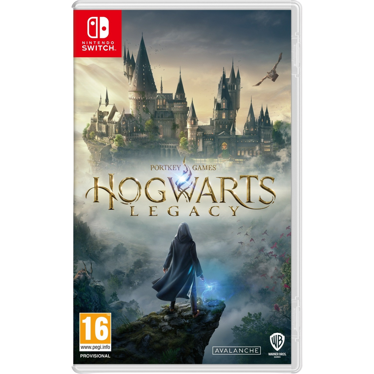 Copertina del gioco Hogwarts Legacy: Una figura con cappuccio davanti al castello di Hogwarts, cielo notturno e uccelli.