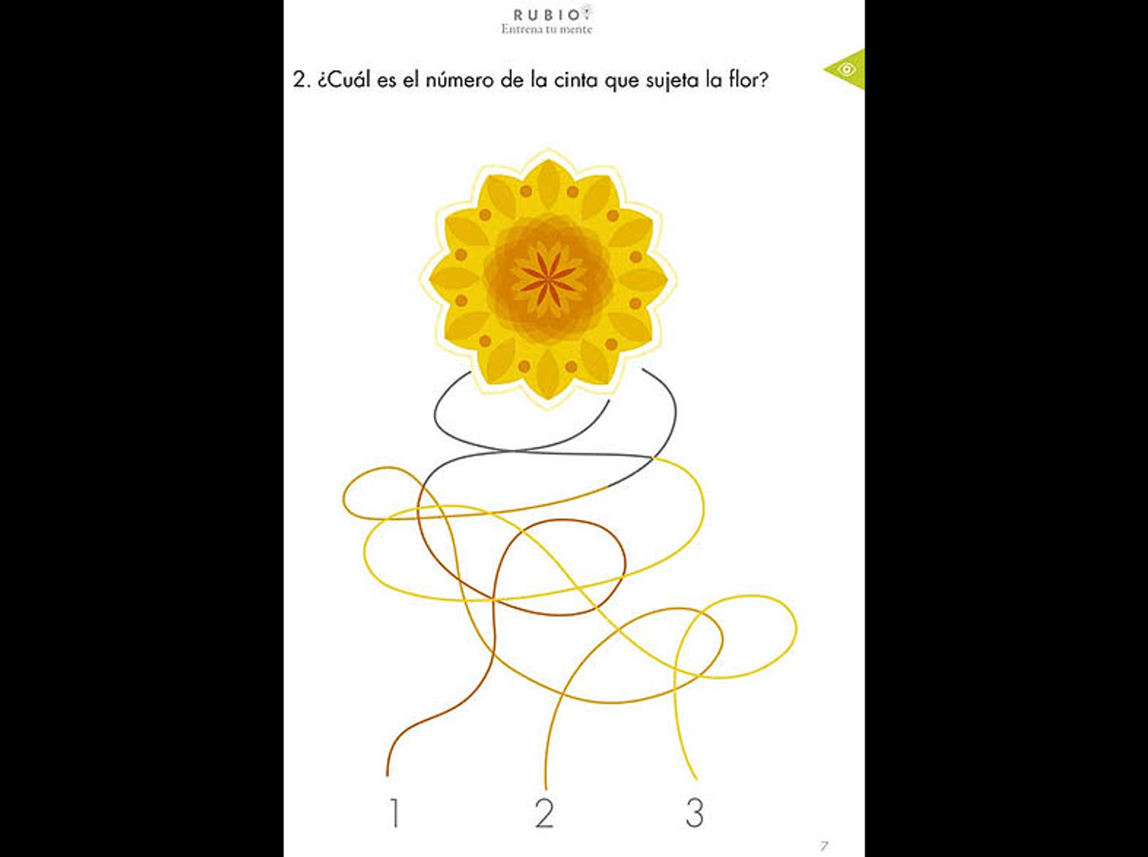 Un rompecabezas de matemáticas pregunta qué cinta sujeta la flor, con tres opciones de cinta.