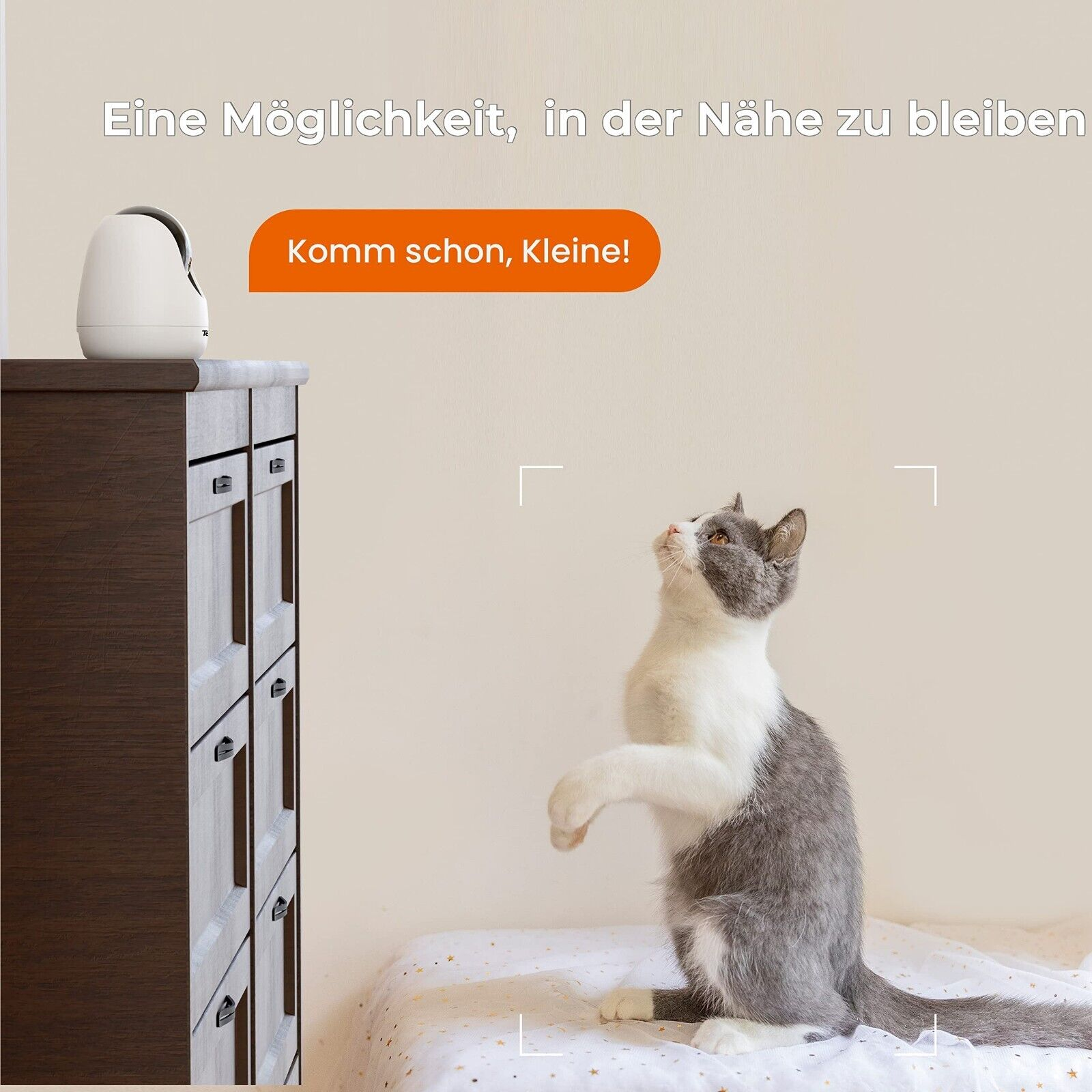 Kot patrzy na biały automatyczny karmnik, tekst: Komm schon, Kleine!
