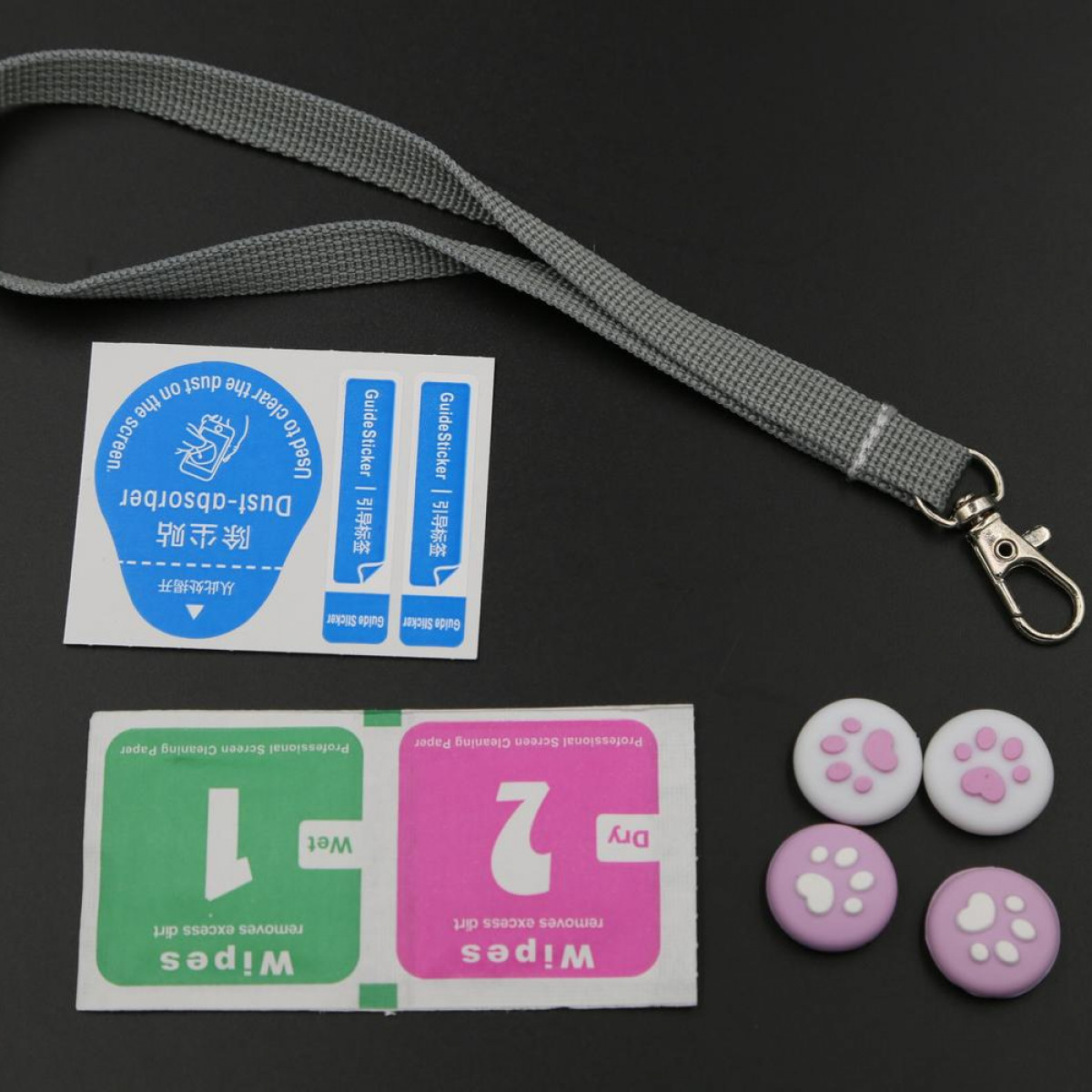 Accessories: screen protector stickers, a lanyard, and paw-shaped controller grips on a black surface.