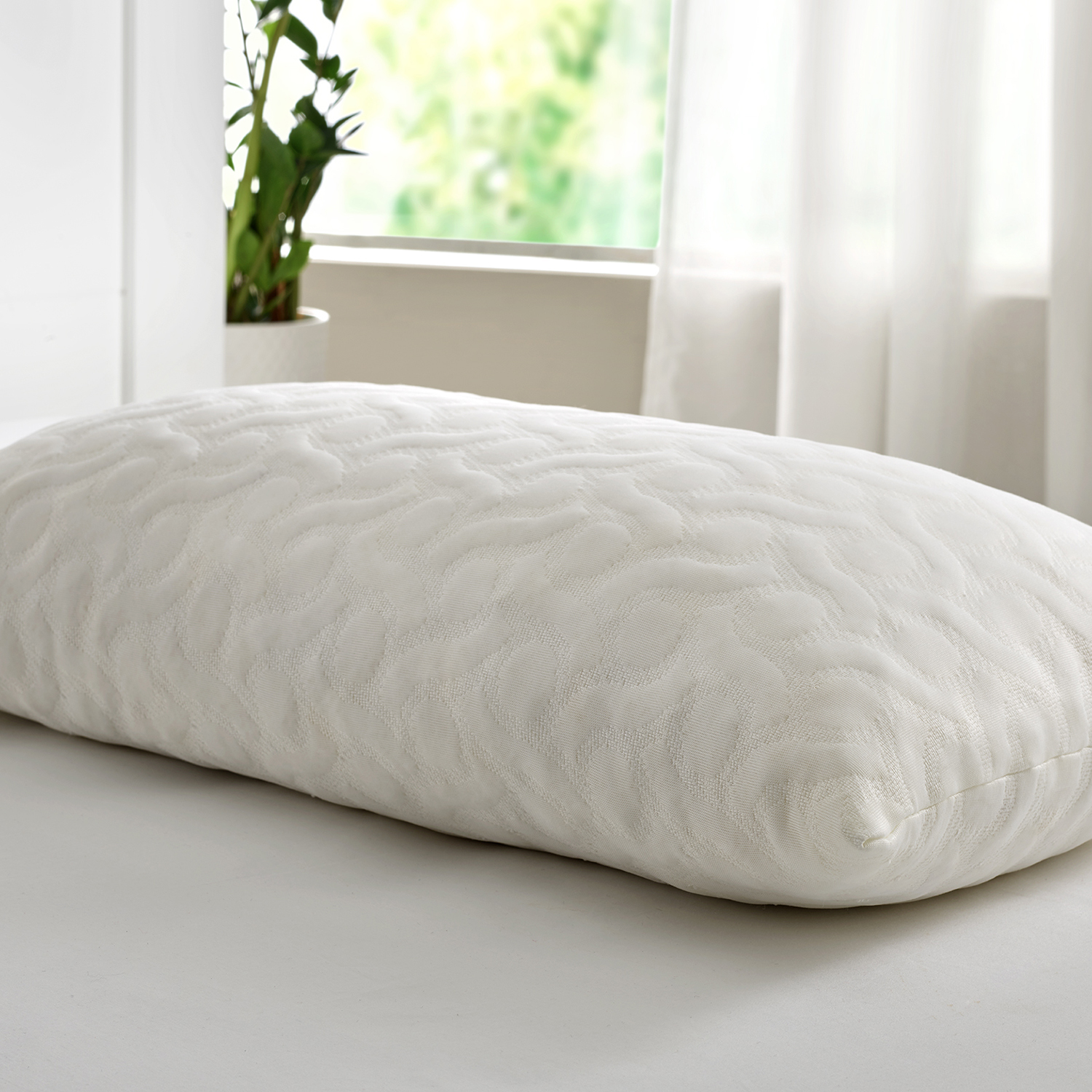 Almohada blanca en una cama. Una planta está en el fondo.