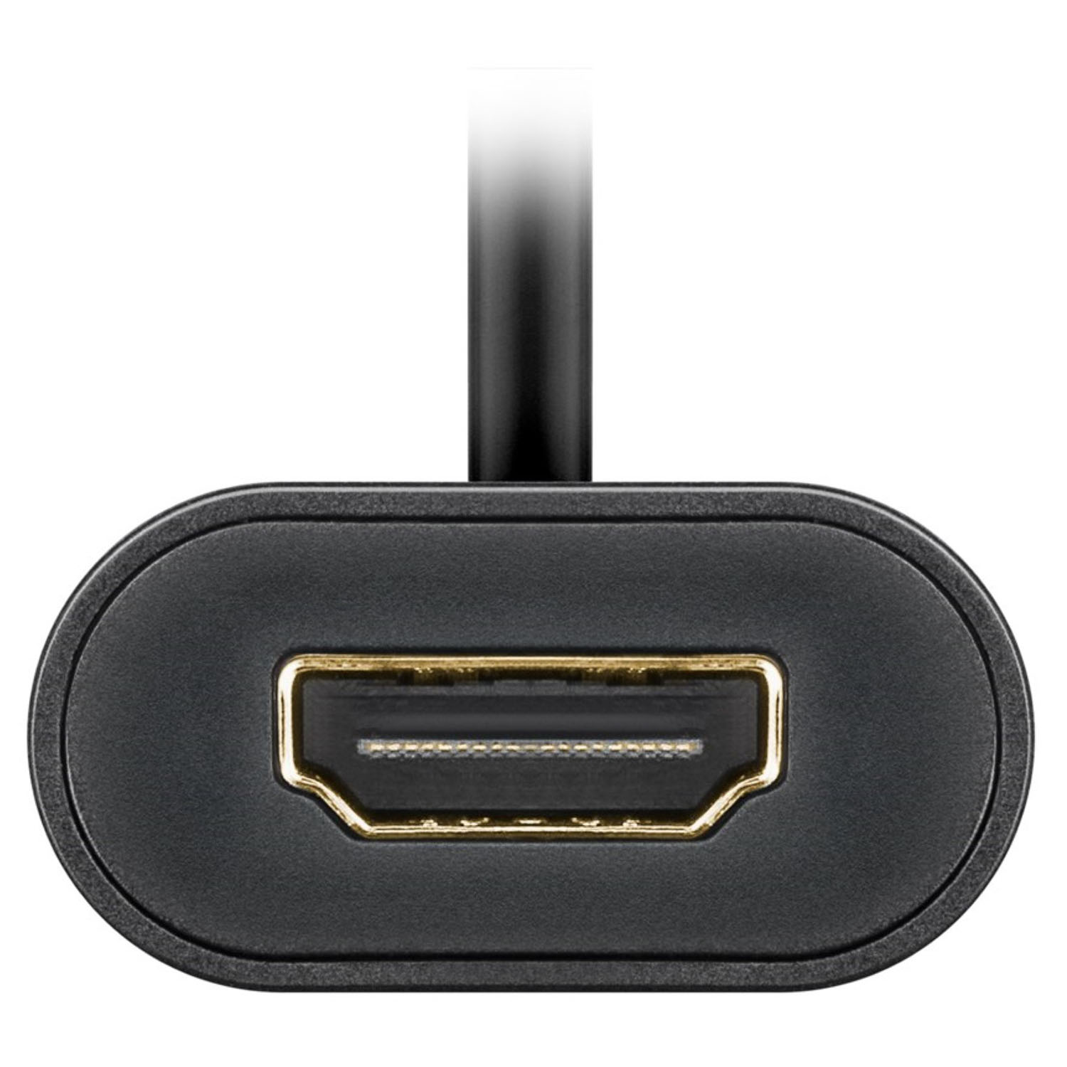 HDMI-Anschluss, schwarz mit goldener Innenseite. Schwarzes Kabel angeschlossen.