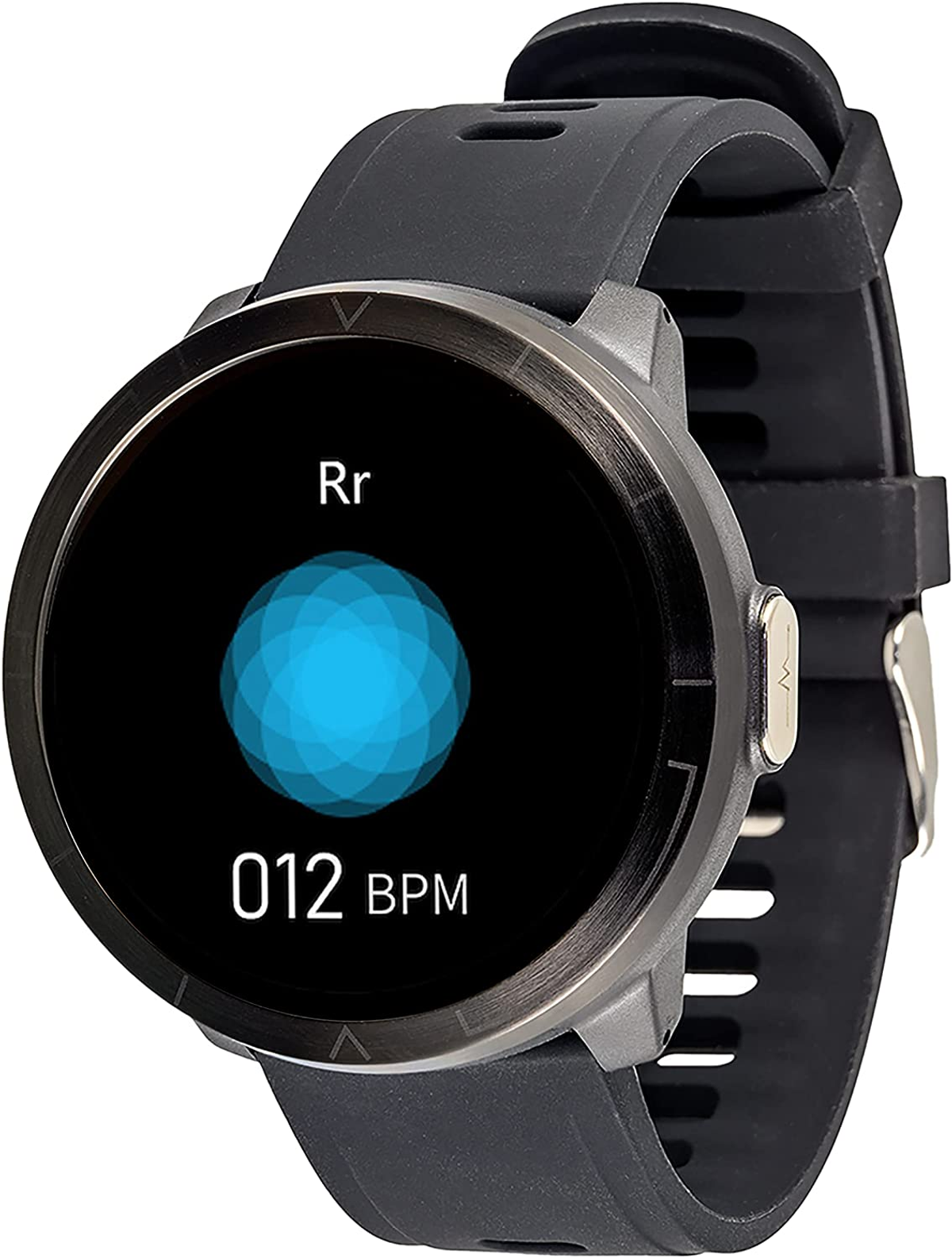 WATCHMARK WM18 schwarz Smartwatch Kunststoff Silizium, Schwarz