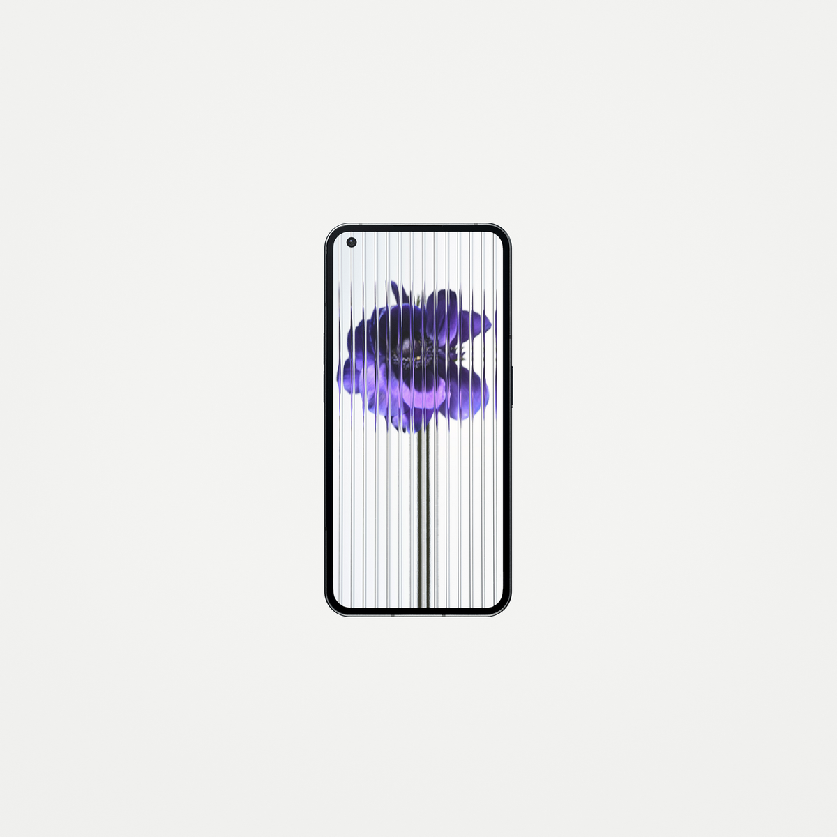 Smartphone mit lila Blumenanzeige. Weißer Hintergrund. Vertikale Linien auf dem Bildschirm.