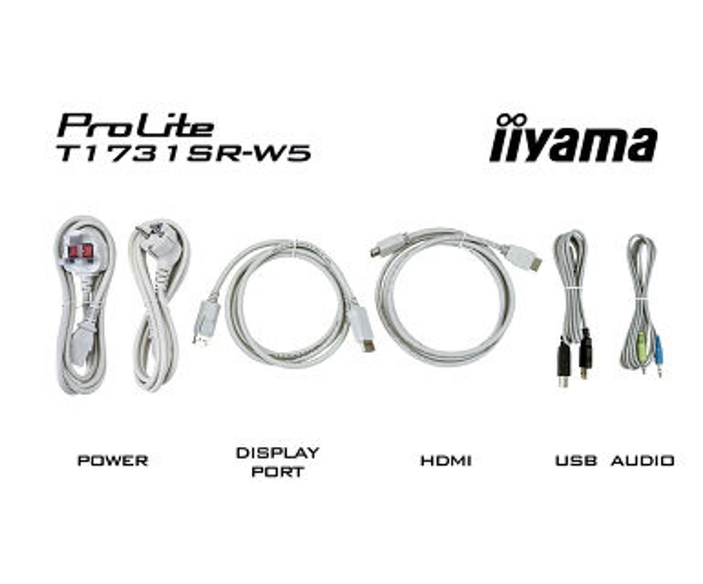 Cables y cables de alimentación. Texto: ProLite, iiyama. Incluye cables de alimentación, DisplayPort, HDMI y audio USB.