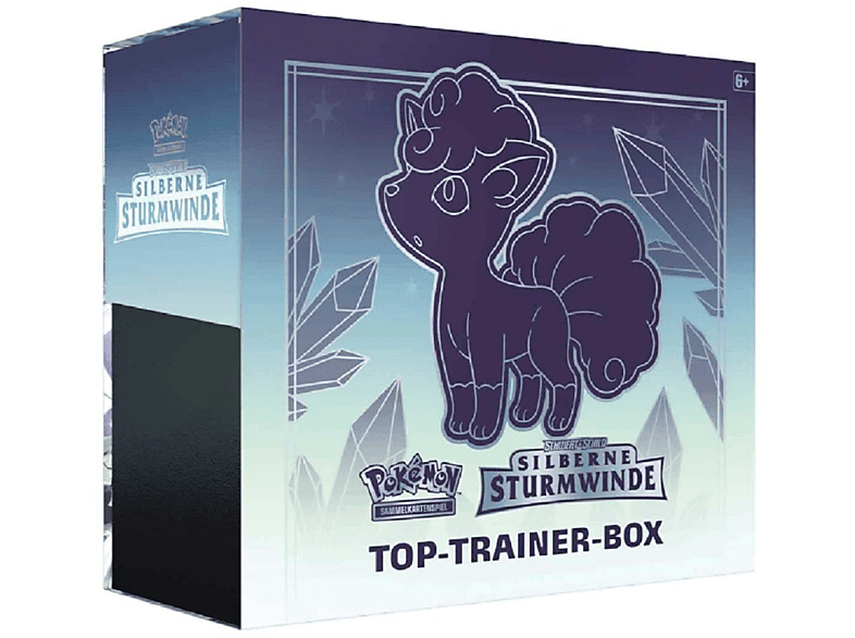 DE Trainer Schild Top & Silberne Kartenspiel Schwert Box POKÉMON Sturmwinde