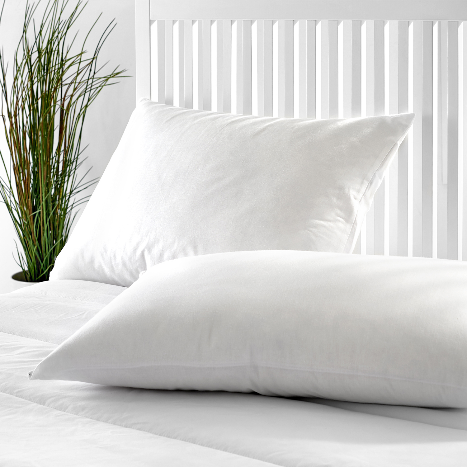 Dos almohadas blancas en una cama blanca con un cabecero blanco, con una planta en el fondo.