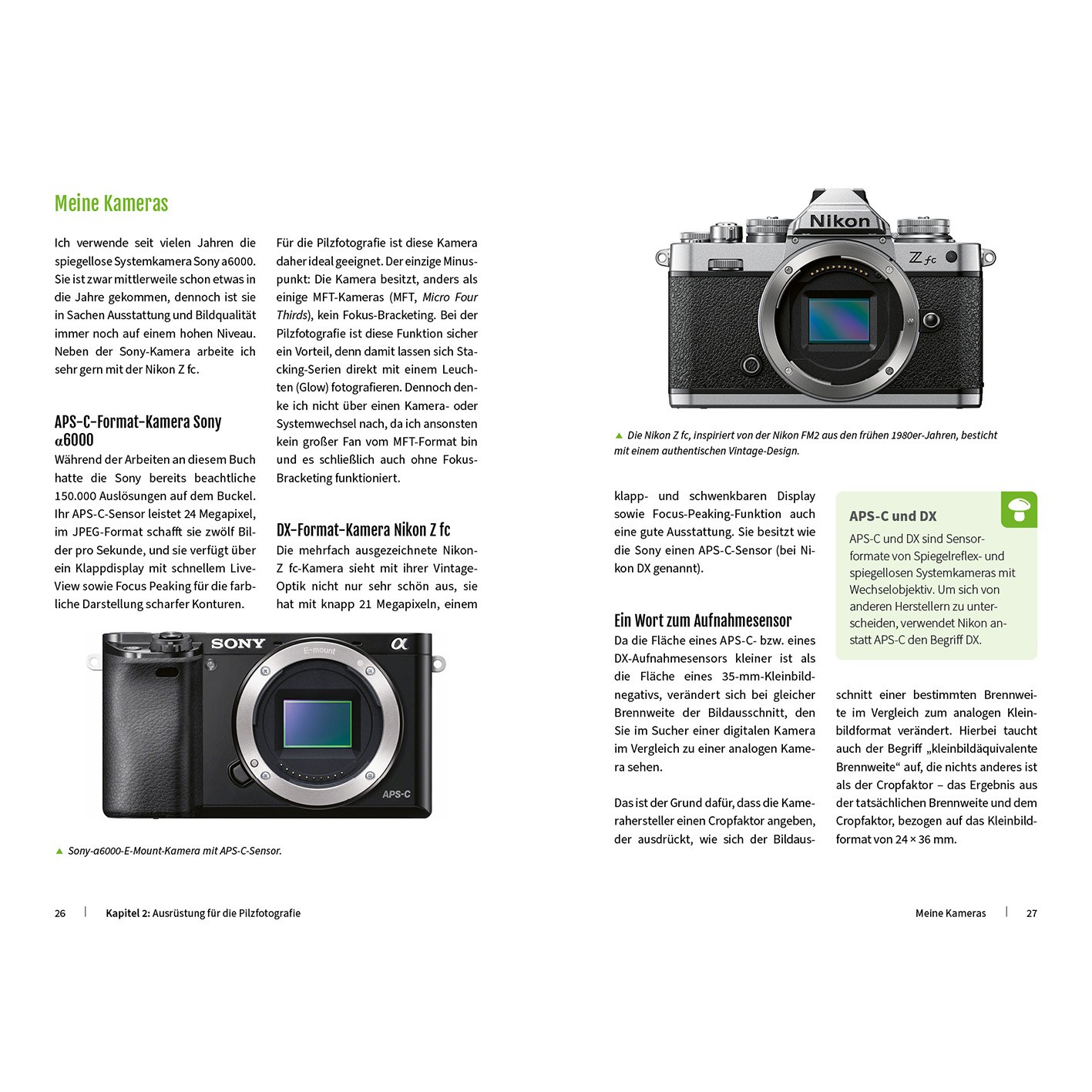 Eine schwarz-silberne Nikon-Kamera mit Objektiv und Bildschirm auf weißer Seite.