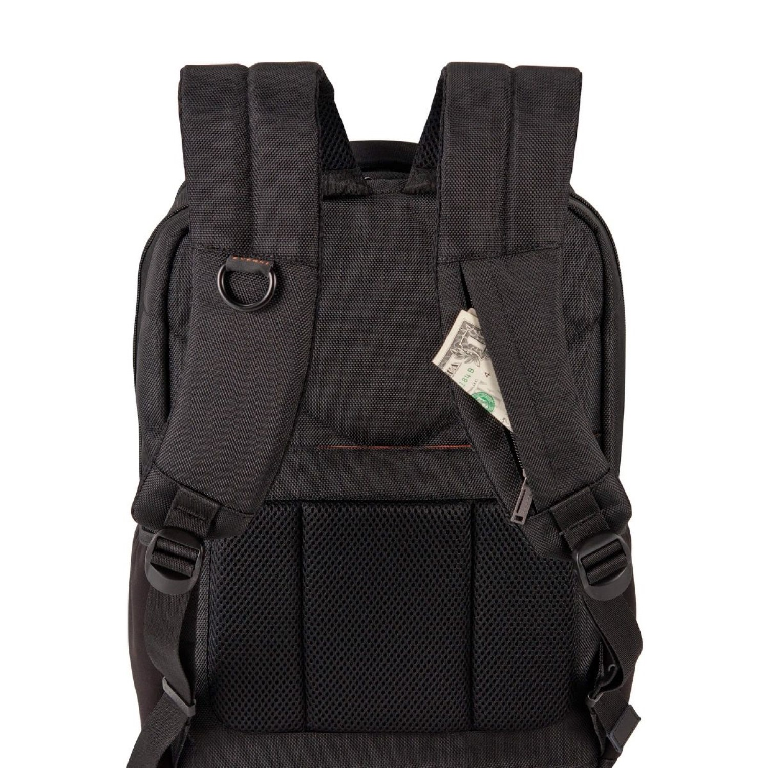 Schwarzer Rucksack, Rückansicht. Ein Geldschein ist in der Rückentasche sichtbar.