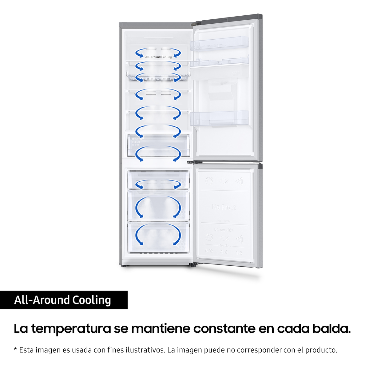 Refrigerador abierto con compartimentos y estantes.