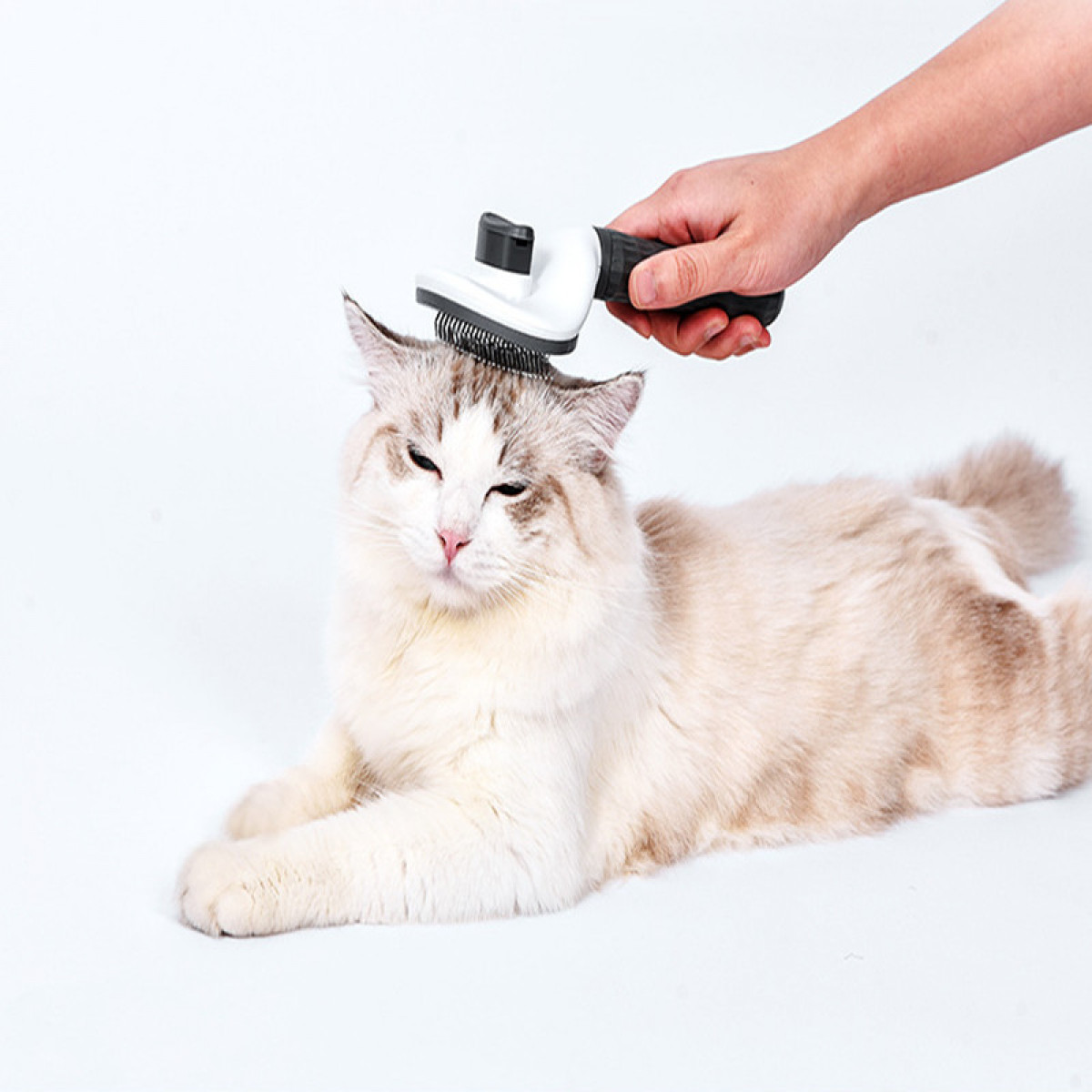 Needle und Häuten Katzenbürste Pflegen INF Grey atzenbürste zum Thin