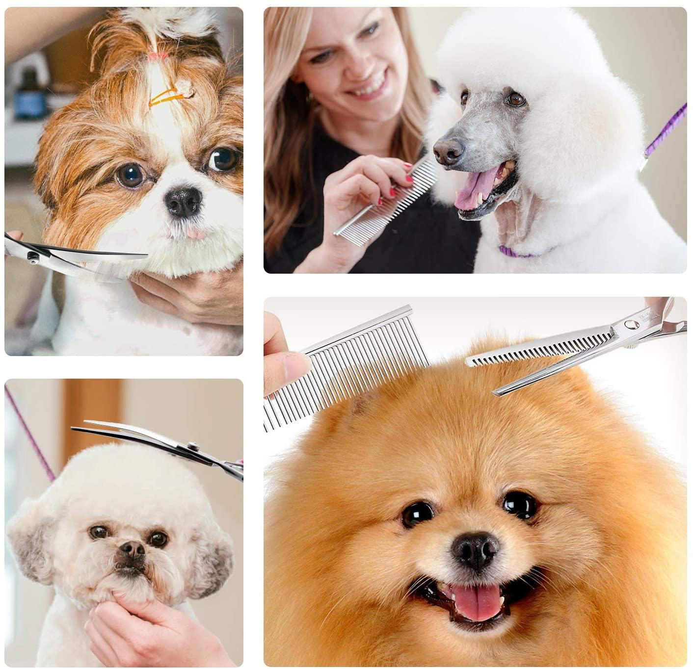 Collage of dogs being groomed. A groomer combs a white poodle, and trims a shih tzu and a Pomeranian.