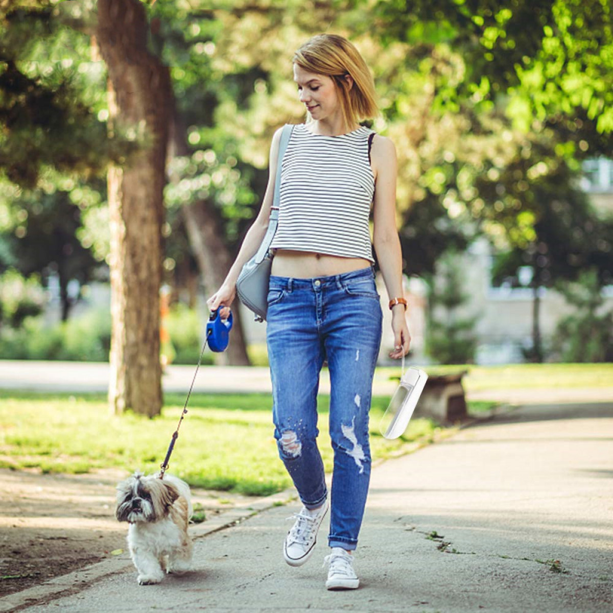 Frau, die einen Hund an der Leine in einem Park spazieren führt. Bäume im Hintergrund.