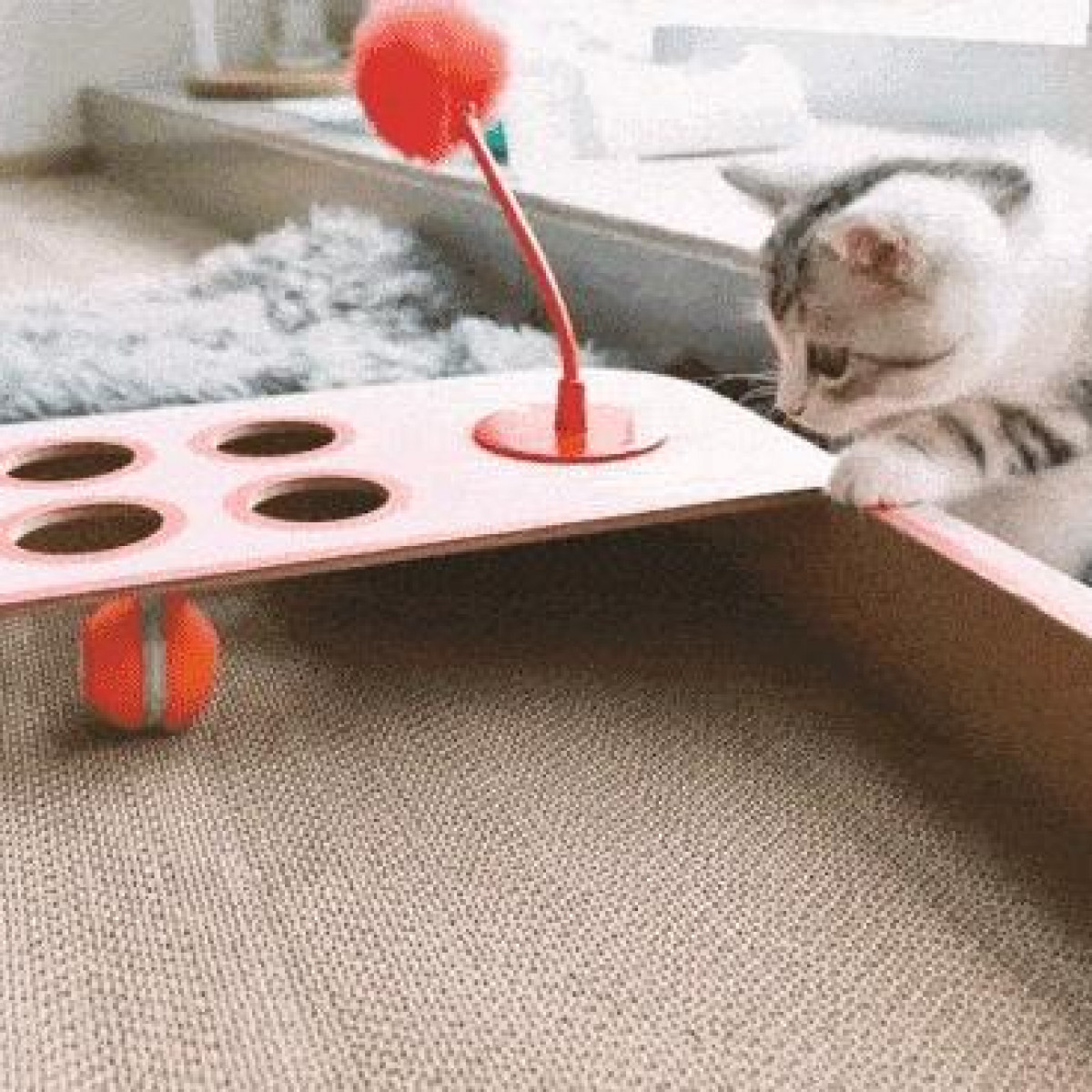 Eine Katze spielt mit einem Spielzeug. Ein Ball liegt auf einer rosa Oberfläche, die Katze konzentriert sich darauf.