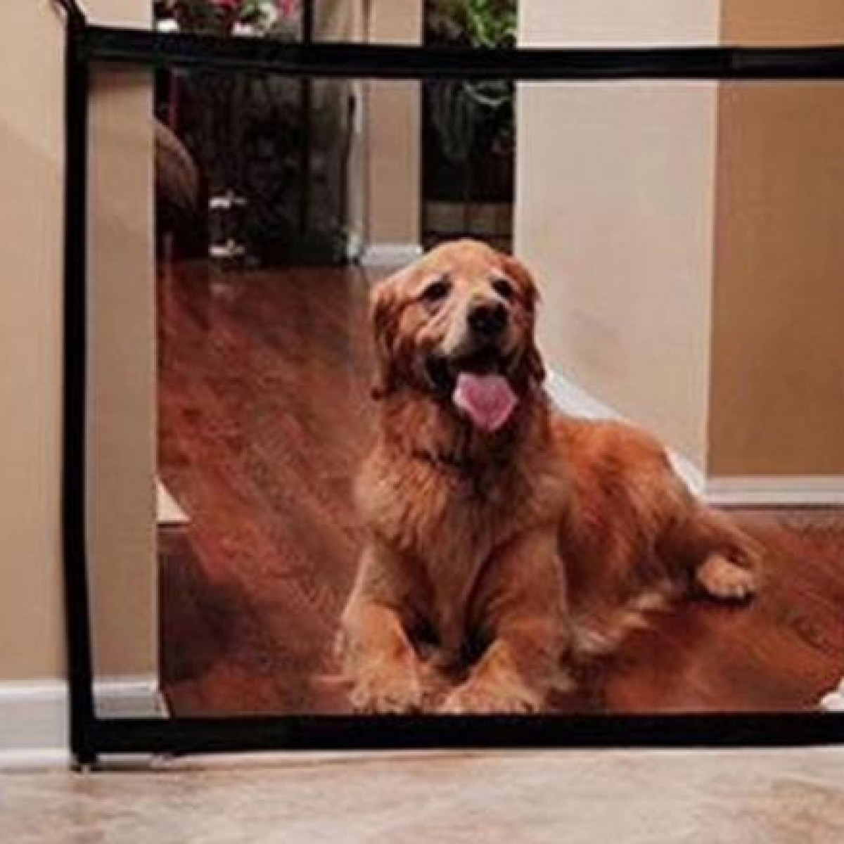 Ein Golden Retriever-Hund ist hinter einem schwarzen Sicherheitsgitter und schaut in die Kamera.