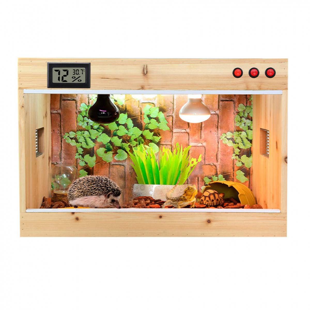 Drewniane terrarium z jeżem, żółwiem i roślinami. Zawiera cyfrowy wyświetlacz z temperaturą.