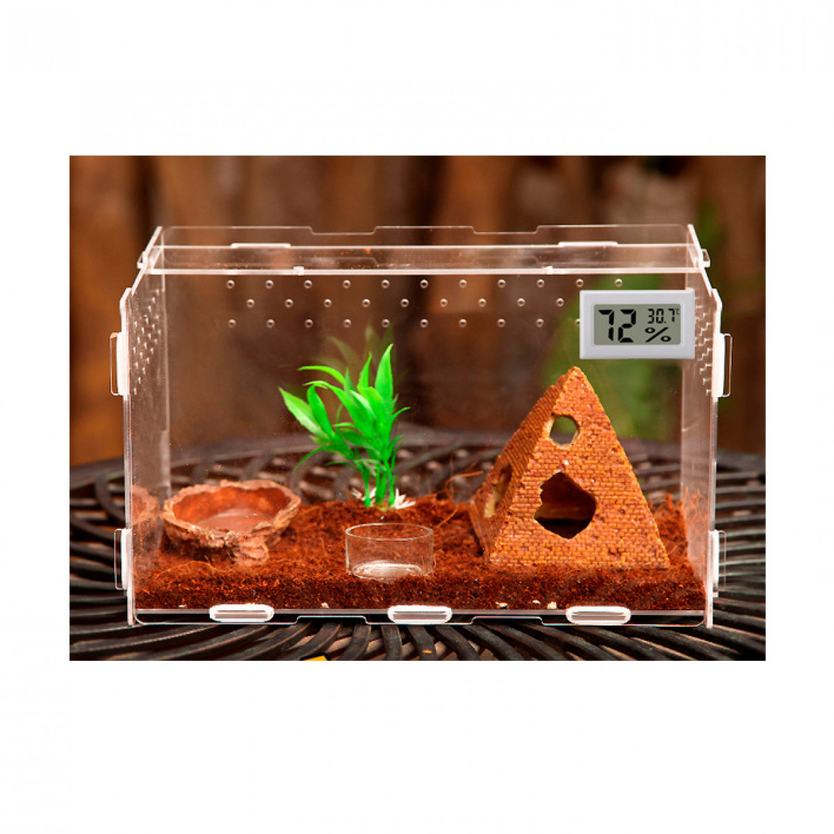 Terrarium z piramidą, miską z wodą i małą rośliną.