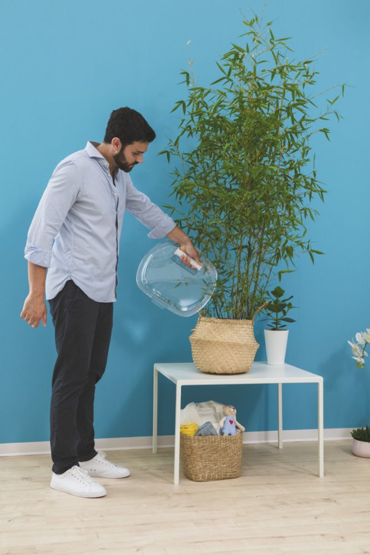 Un hombre regando una planta en una cesta de mimbre sobre una mesa blanca contra una pared azul.