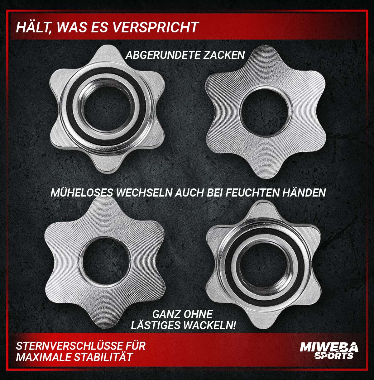 Vier Gewichtheberplatten. Silberfarbe. Text über Stabilität und einfachen Wechsel.