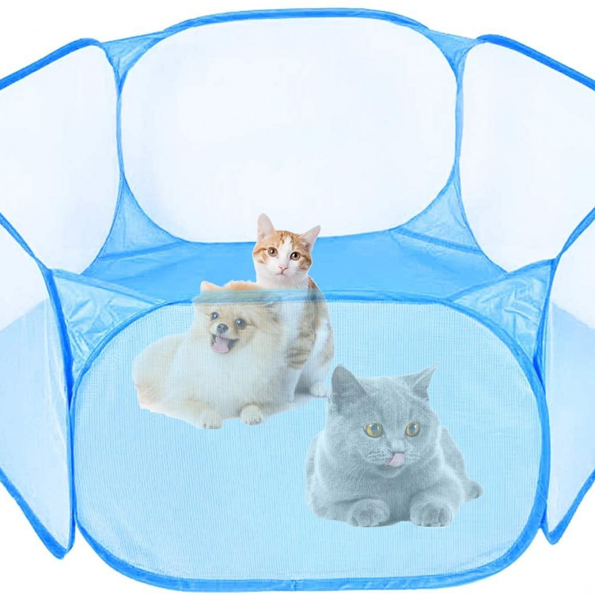 Ein blauer Haustierspielplatz mit einem Hund und zwei Katzen darin.