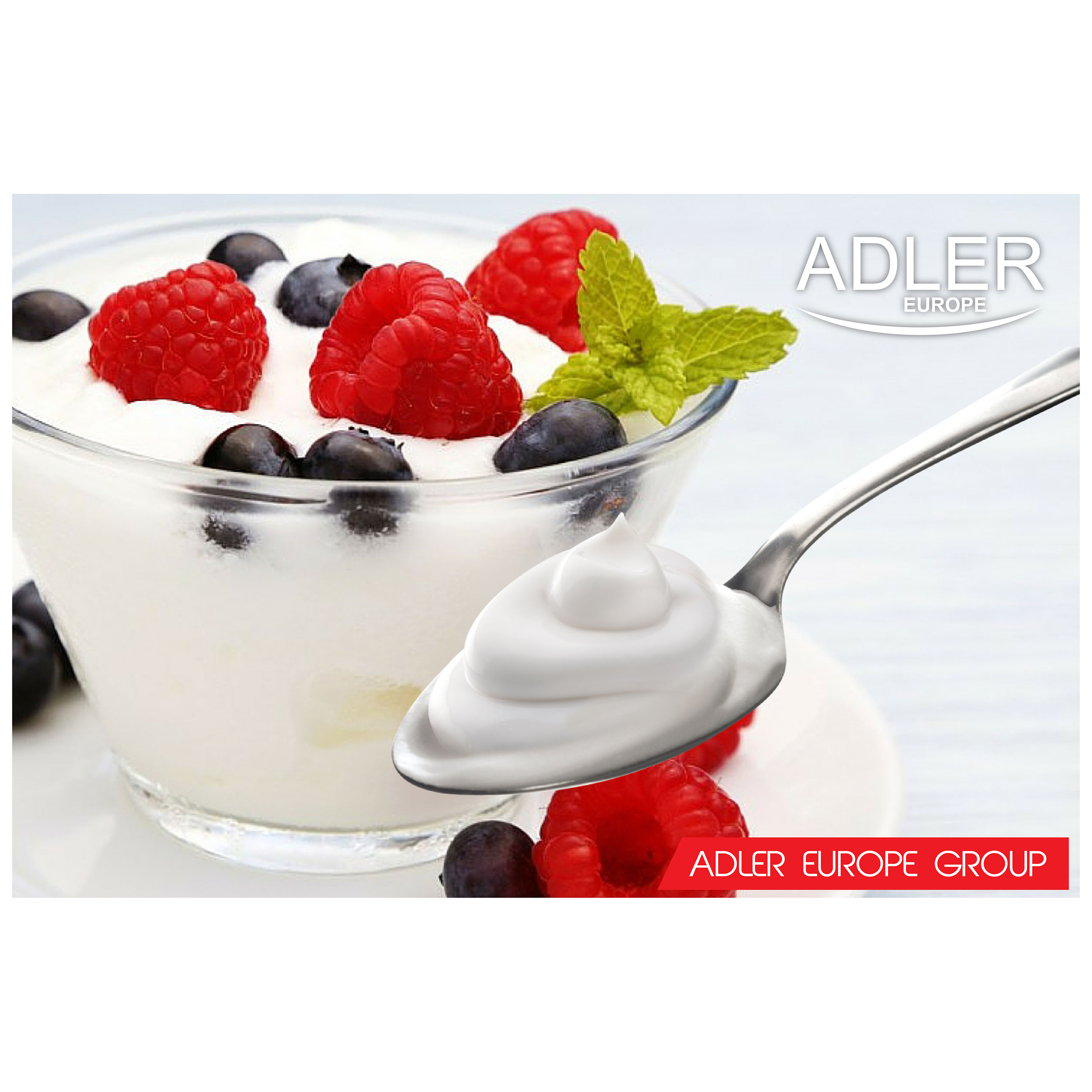 Łyżka jogurtu z jagodami, na białym talerzu, z napisem "ADLER EUROPE".