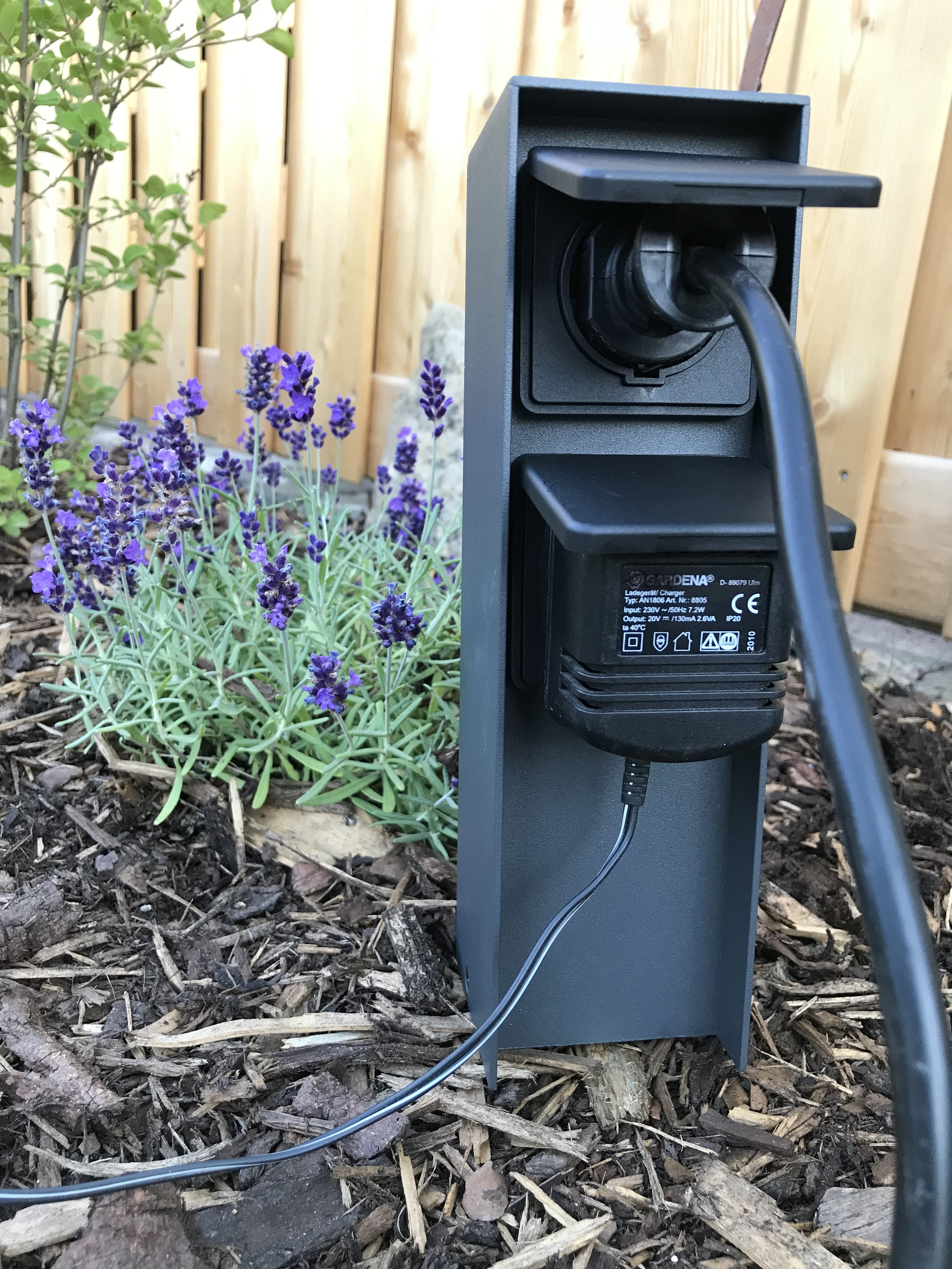 Graue Außensteckdose mit Kabel, neben Lavendelblüten.