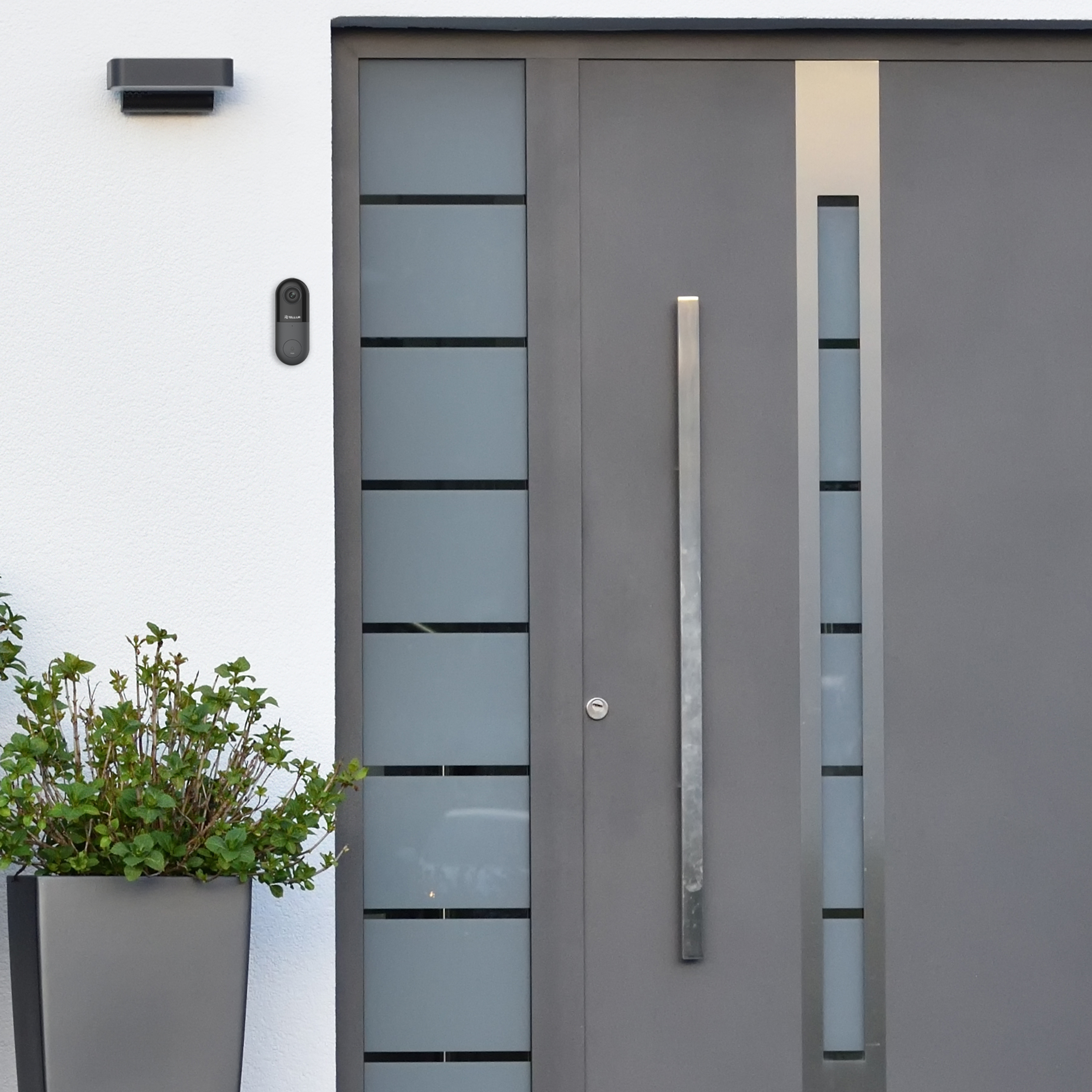 Szare drzwi, dzwonek i roślina w doniczce na białej ścianie.