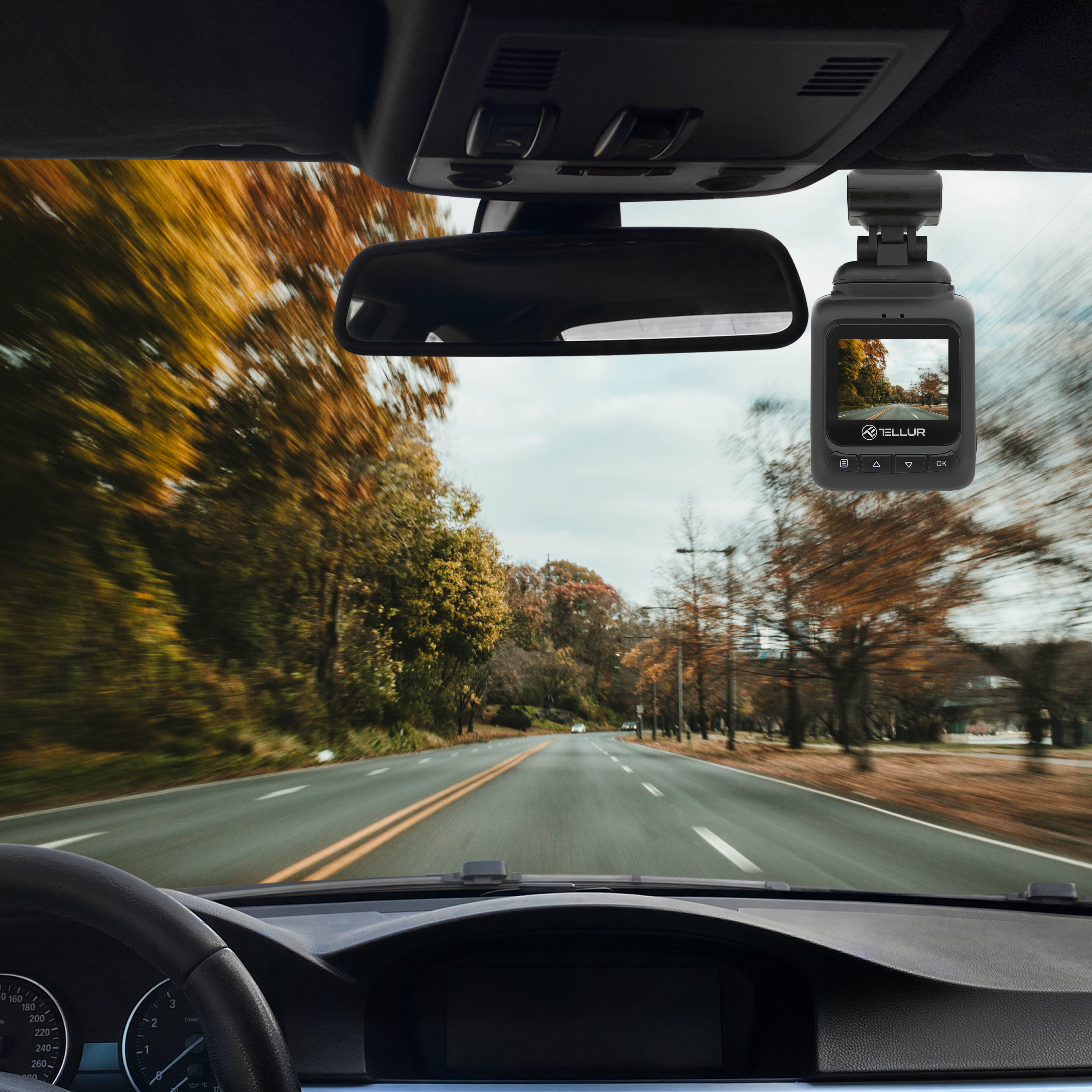 Widok wnętrza samochodu, droga, kamera samochodowa. Jesienne liście, pochmurne niebo. Kierownica widoczna.