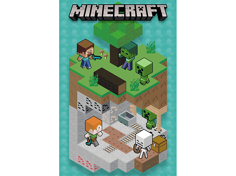 Minecraft - Into the mine