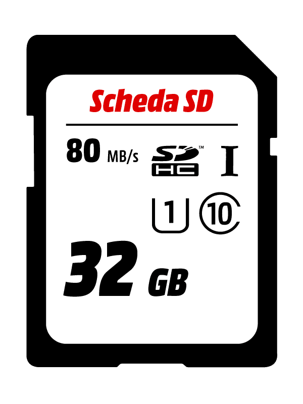 Basics MicroSDXC, 256 GB, con Adattatore SD, A2, U3, velocità di  lettura fino a 100 MB/s, Nero : : Informatica