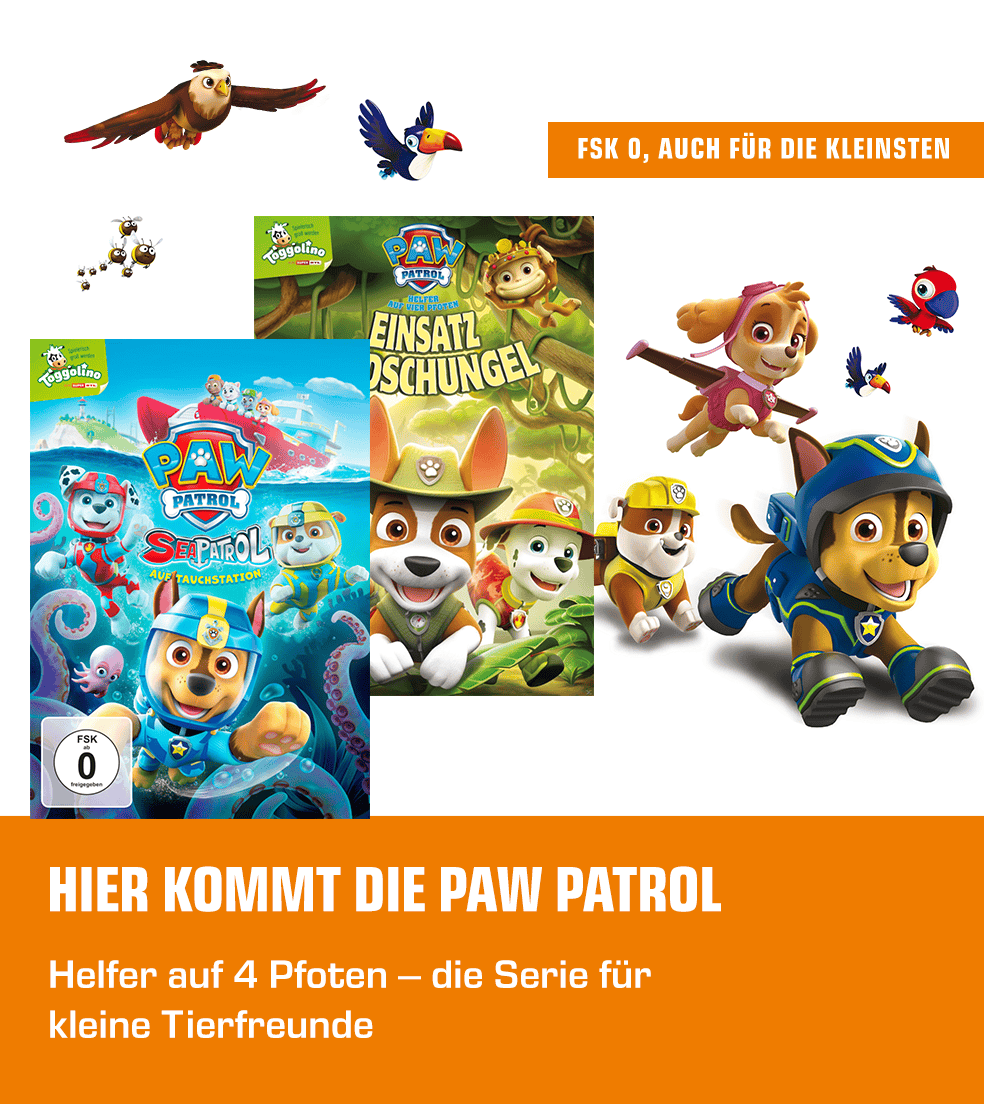 Paw Patrol Saturn