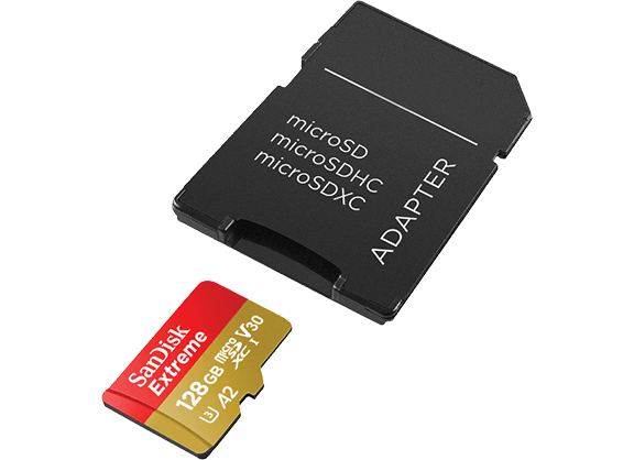 Scheda di memoria micro SD