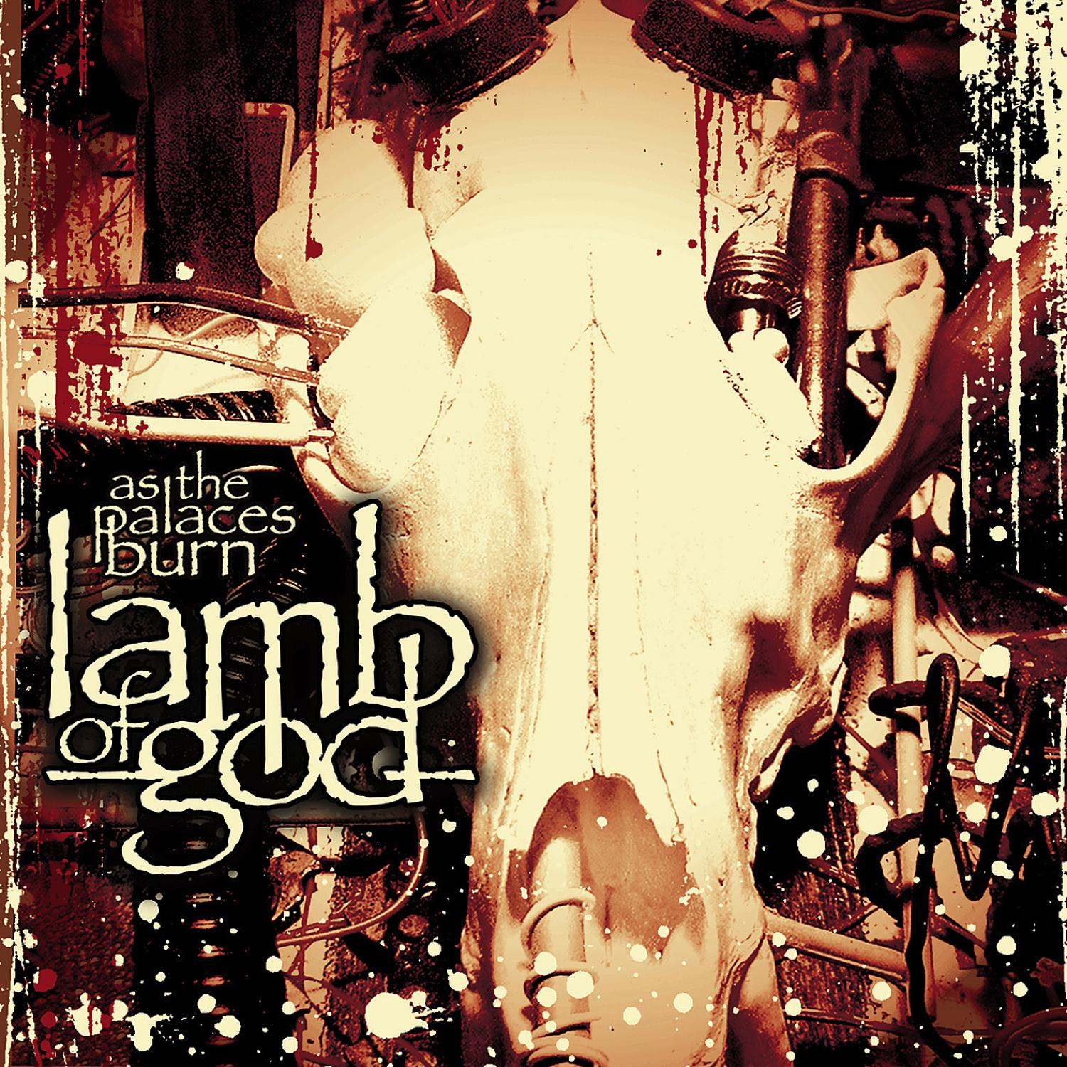 Albumcover, Lamb of God, mit Schädel, Text und Grunge-Effekt.
