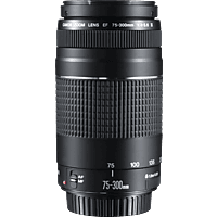Canon Ef Iii 75 Mm 300 Mm F 4 5 6 Ef Objektiv Fur Canon Ef Mount Schwarz Fur Kaufen Saturn